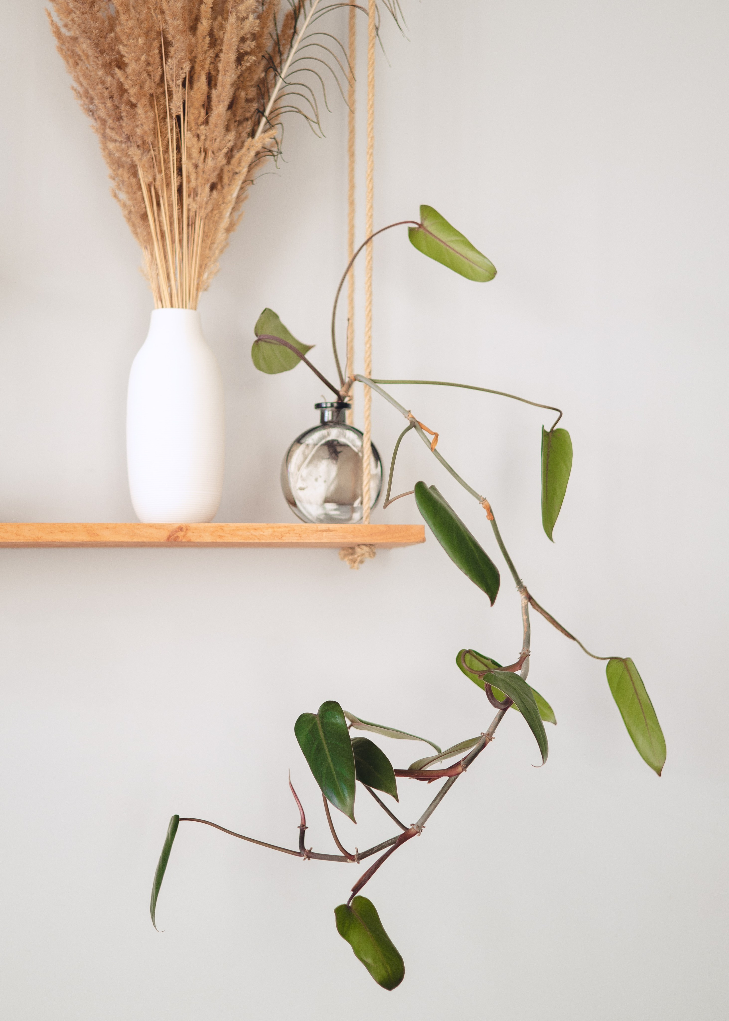 Предметная съемка для бизнеса. Фотограф в Санкт-Петербурге Осокина Елизавета