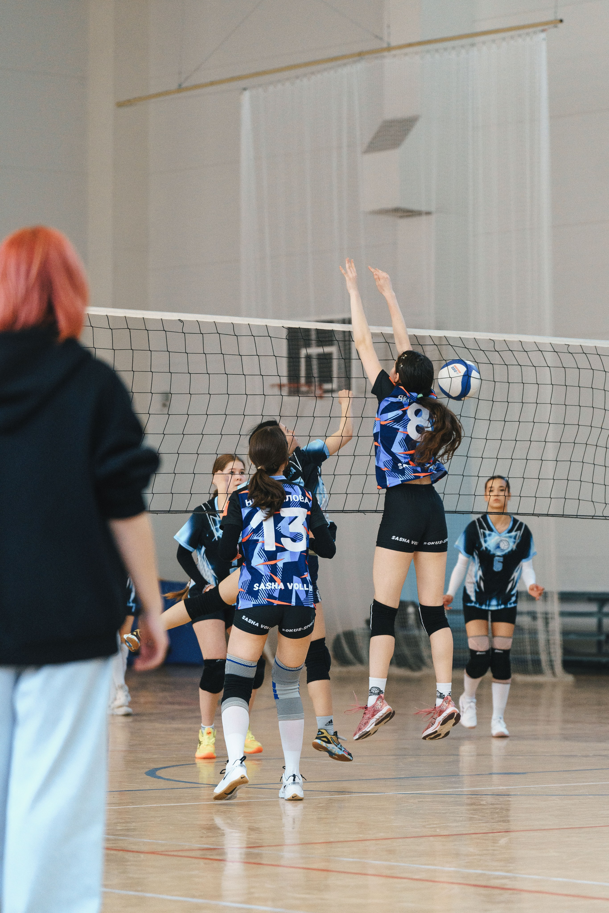 Волейбол торус. Фотограф-анималист в Санкт-Петербурге