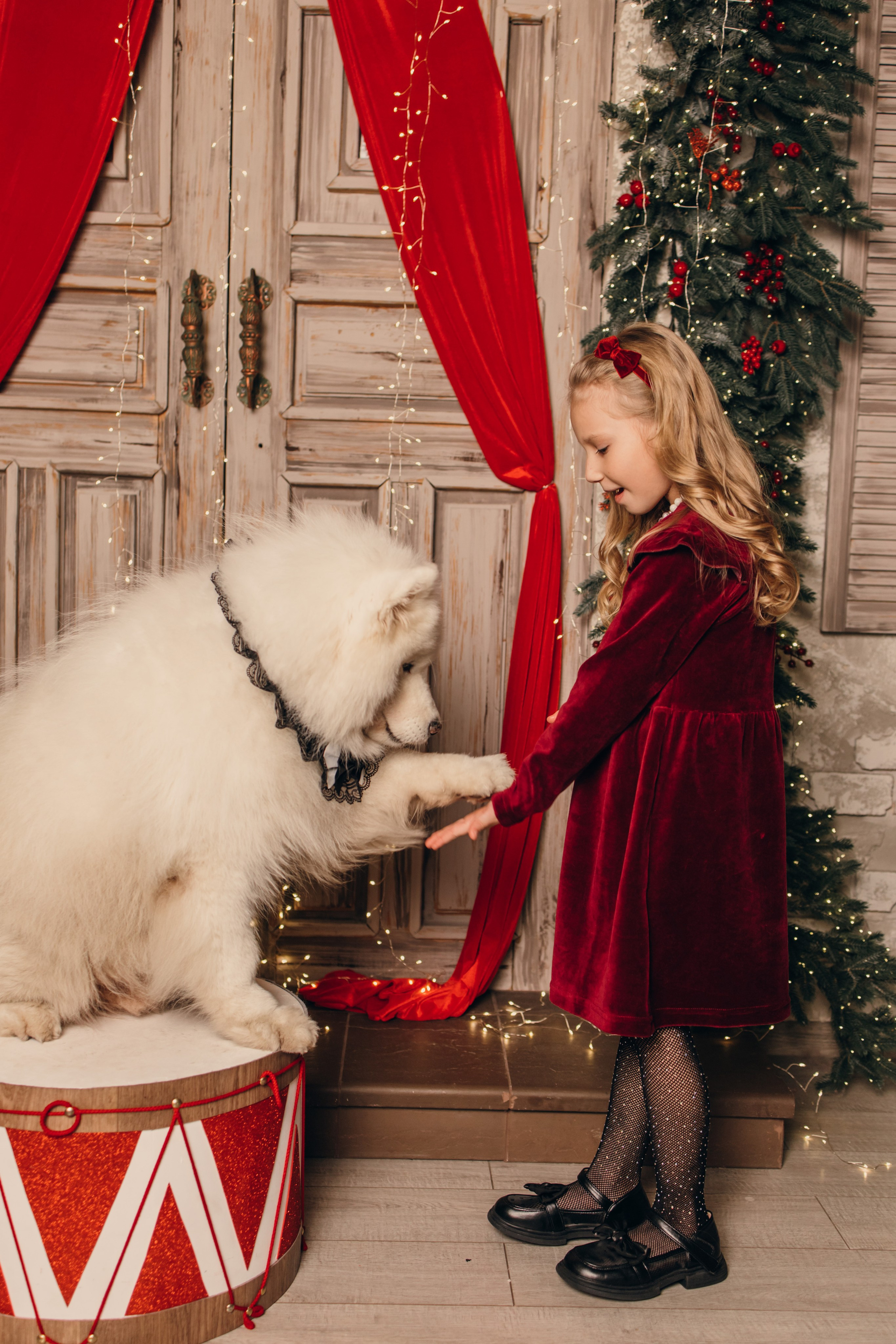 Новогодний самоед. Коновалова Ольга | фотограф в Пензе и Заречном