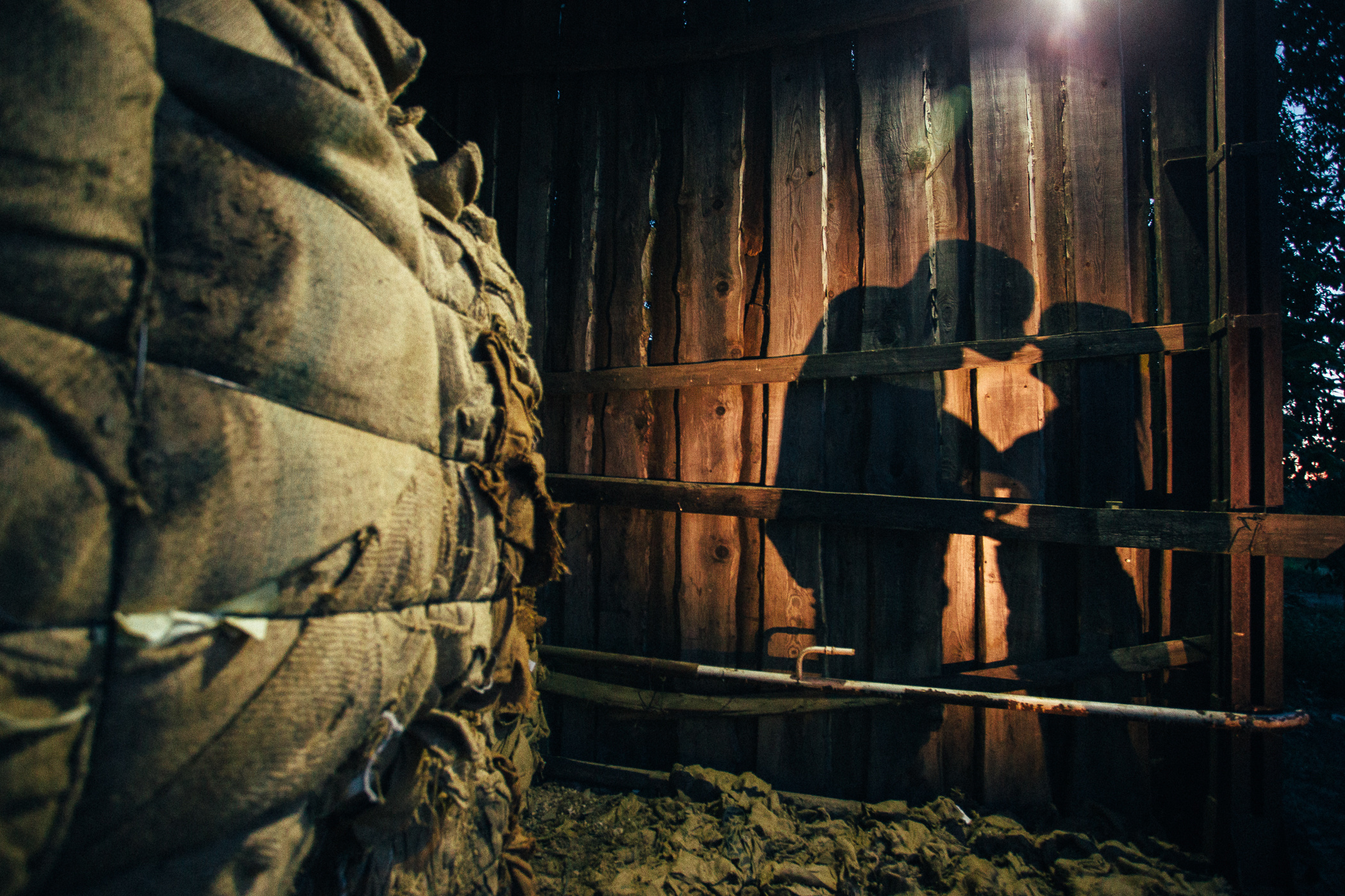 Фотосессия пары, лав стори, предсвадебная съемка. Свадебный и семейный фотограф в Твери, Москве, Санкт-Петербурге