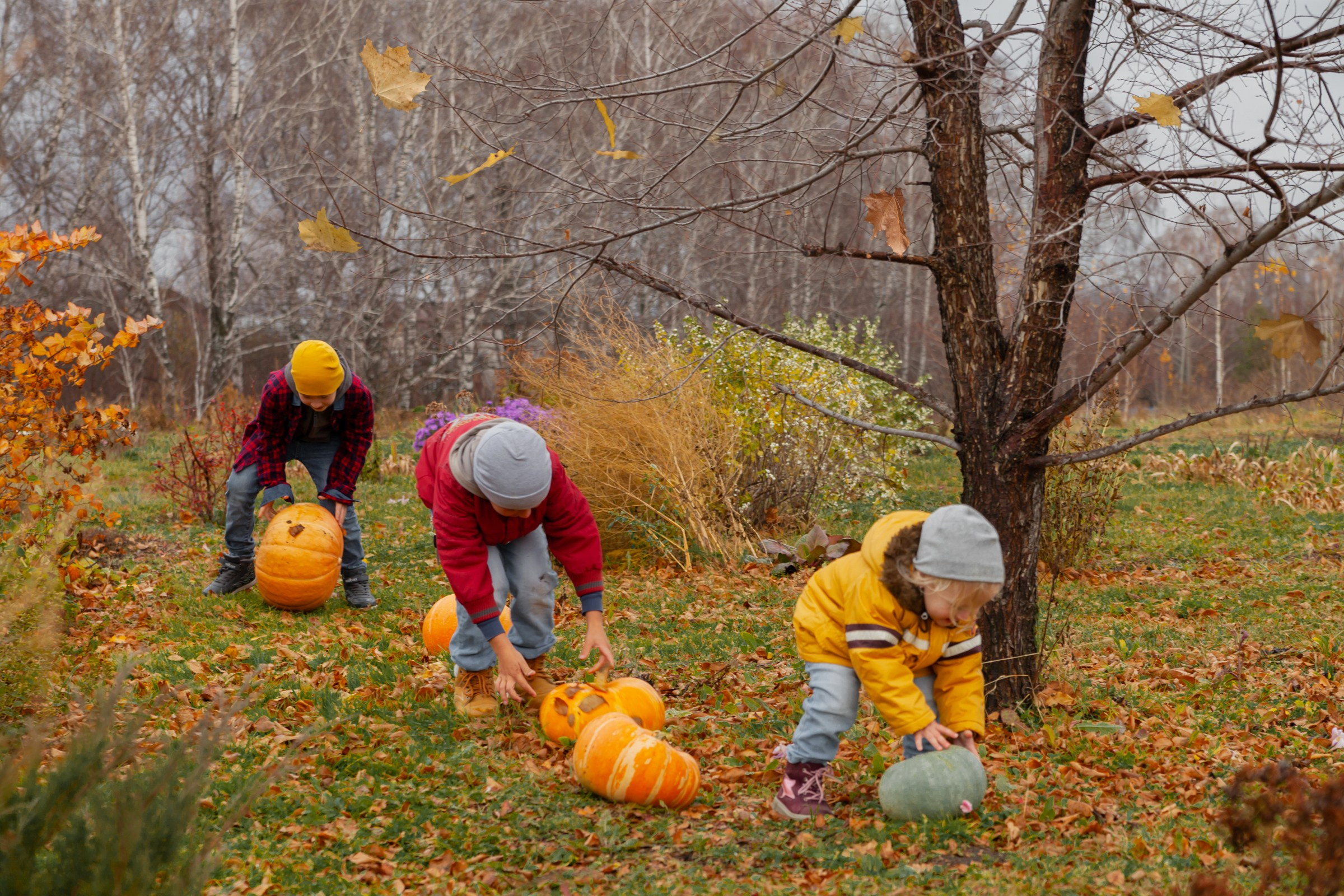 Осень. Детский и семейный фотограф в Бердске и Новосибирске Дарья Гребнева