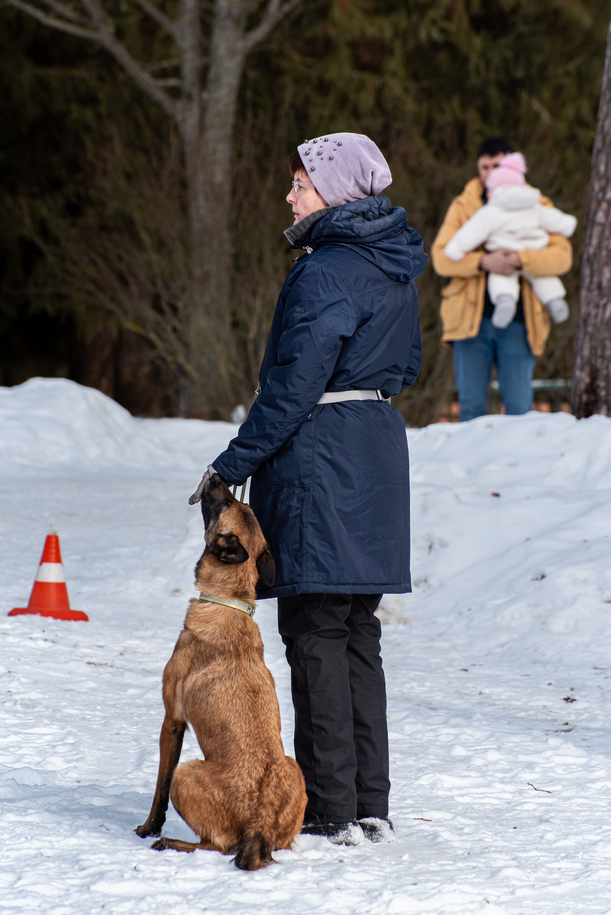 Фотосъёмка с собаками в Кинологическом лагере. Фотограф Макс Огурцов в Нижнем Новгороде
