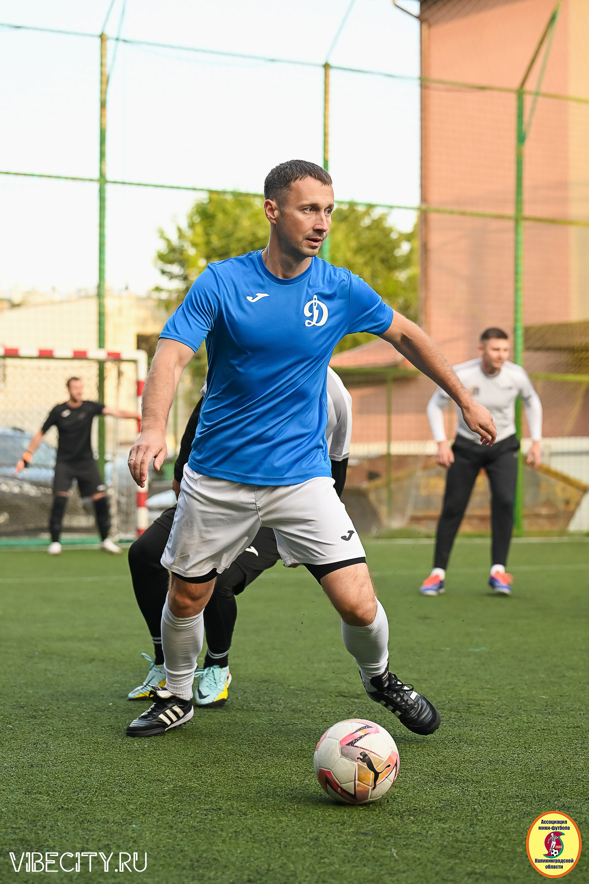 ИГРЫ ПЛЕЙ-ОФФ ПЕРВОГО ДИВИЗИОНА МИНИ-ФУТБОЛЬНОЙ ЛИГИ. VIBECITY.RU Вайб Сити Ру Фоторепортажи Фотоотчеты Калининград