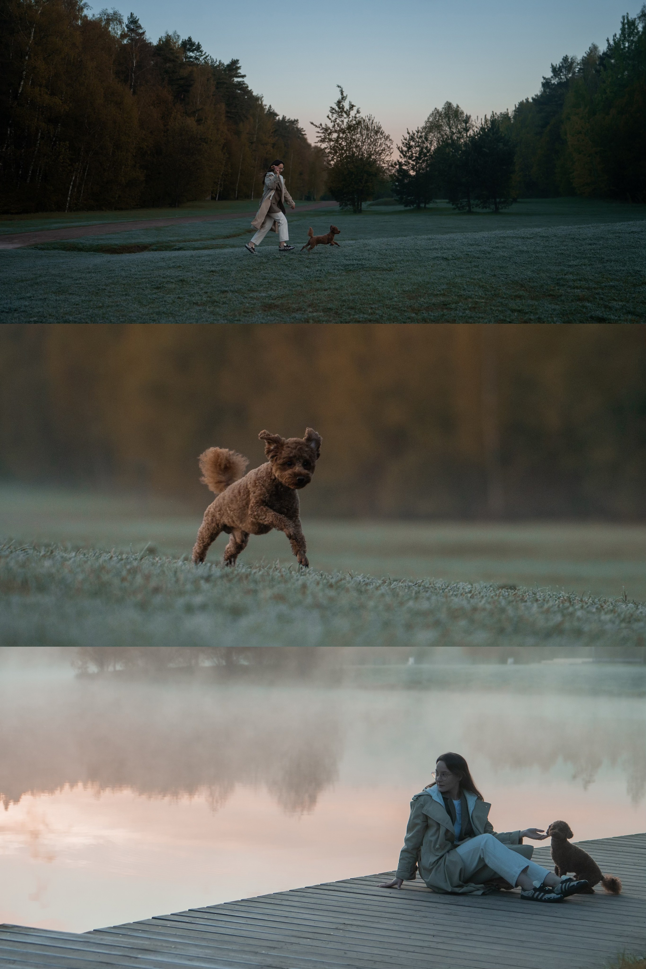 Лия и Чарли. Фотограф анималист в Москве и Санкт-Петербурге Свиридова Анна