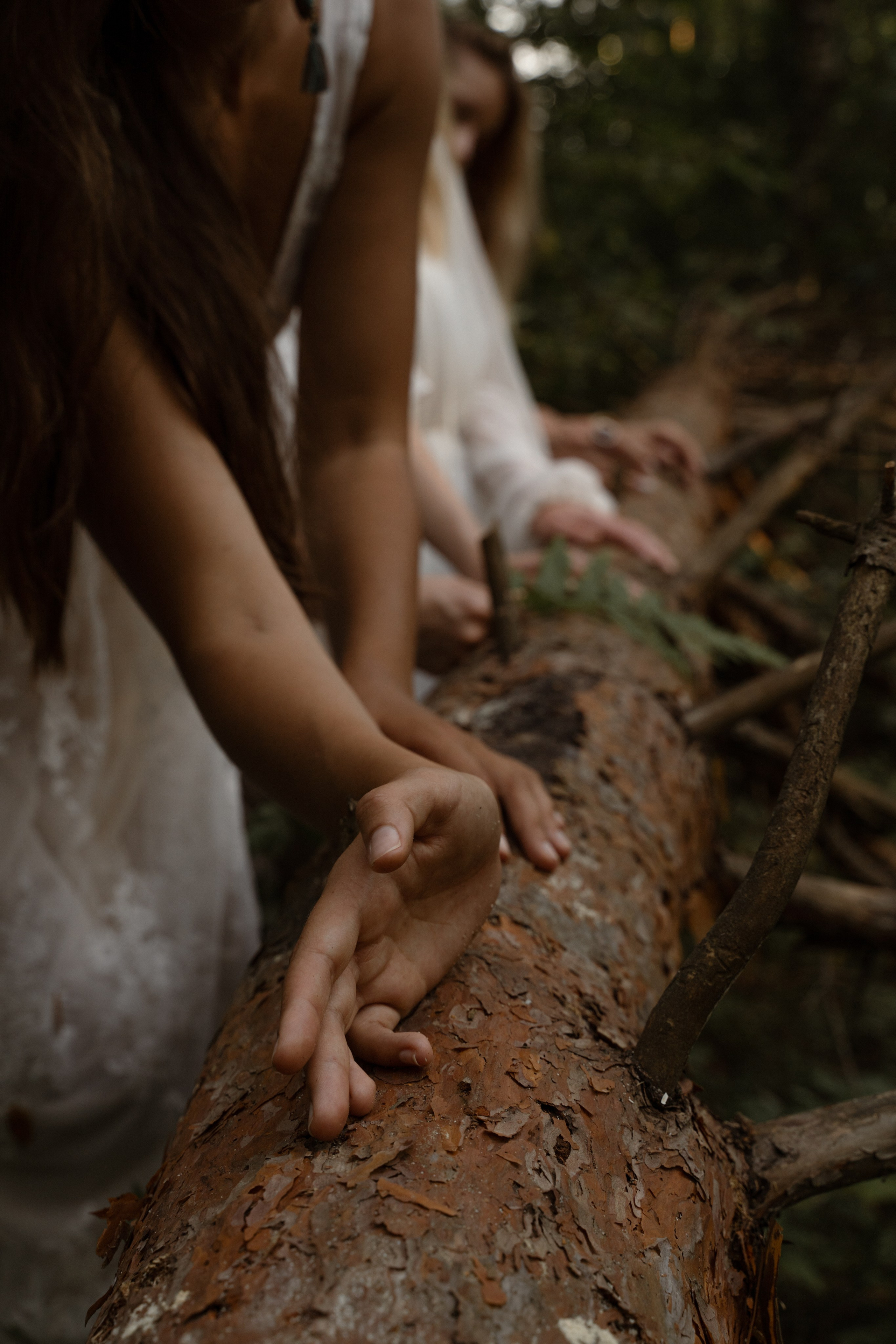 Дикая. Фотограф в Москве и Нижнем Новгороде Никонова Анастасия