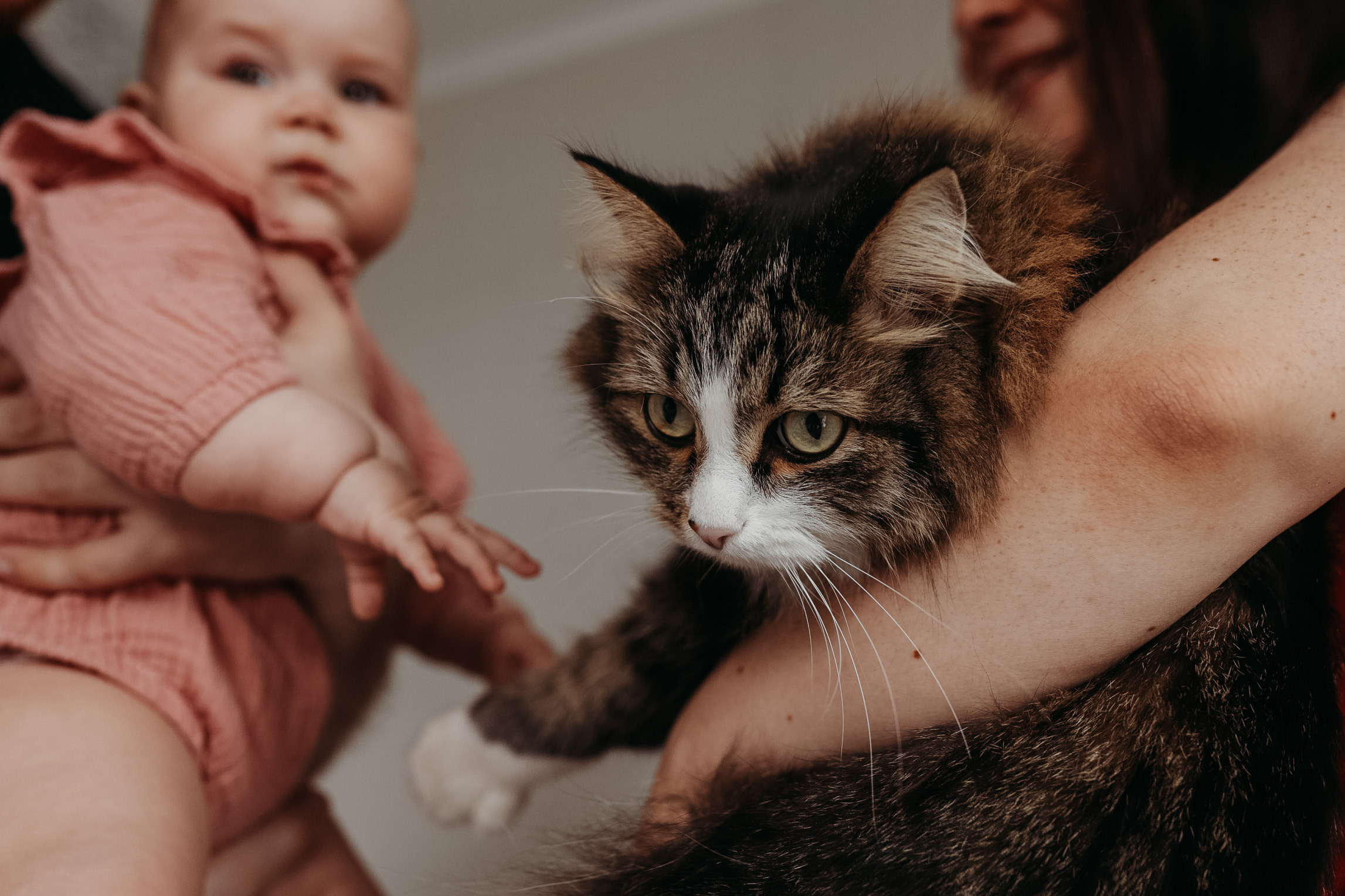 Елена, домашняя съемка. Семейный фотограф Москва
