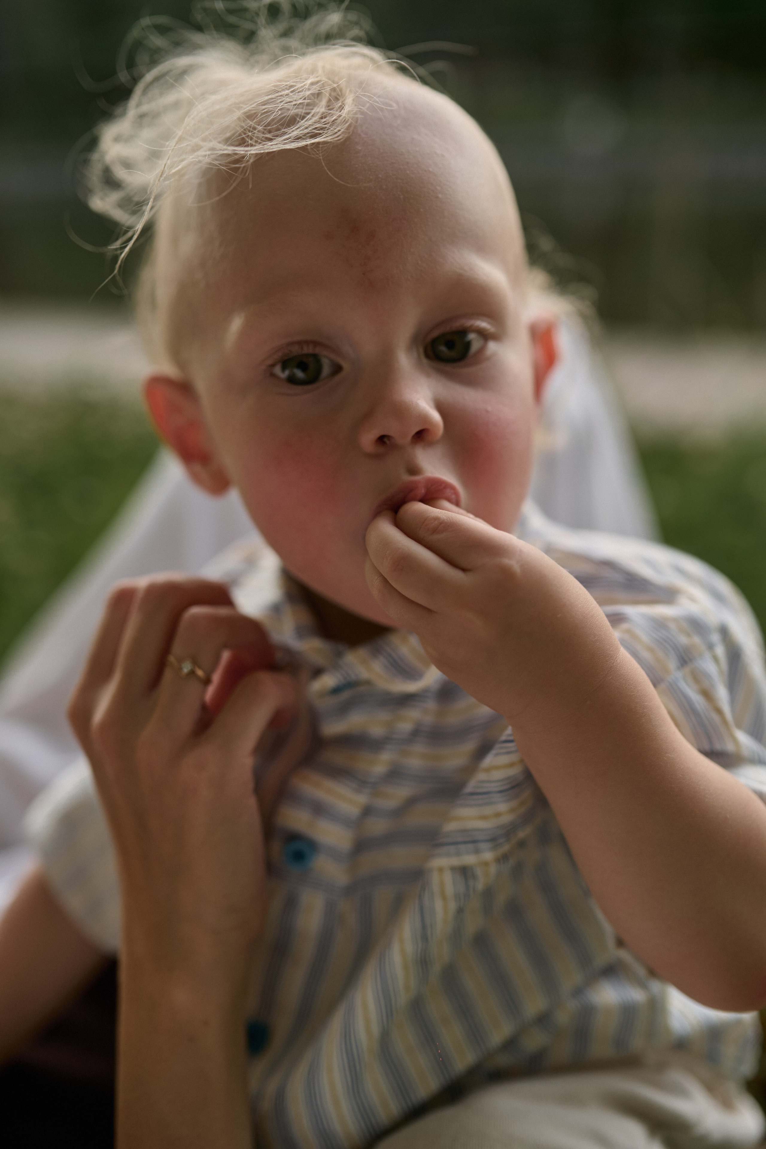 Сима и Яннис. Семейный и свадебный lifestyle-фотограф в Москве Мария Петрова