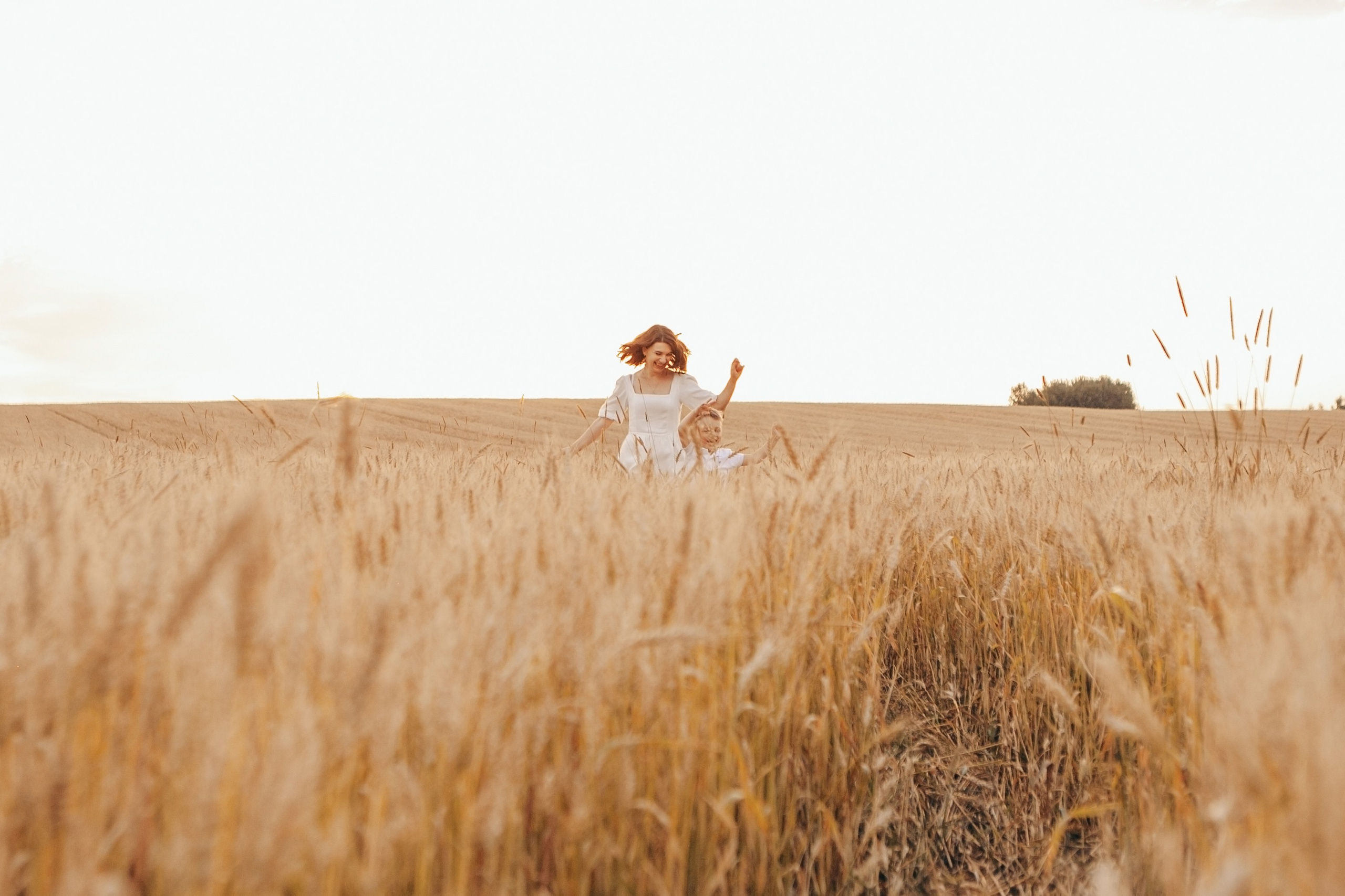 Семейная фотосессия в поле на закате. Фотограф Ольга Ефремова