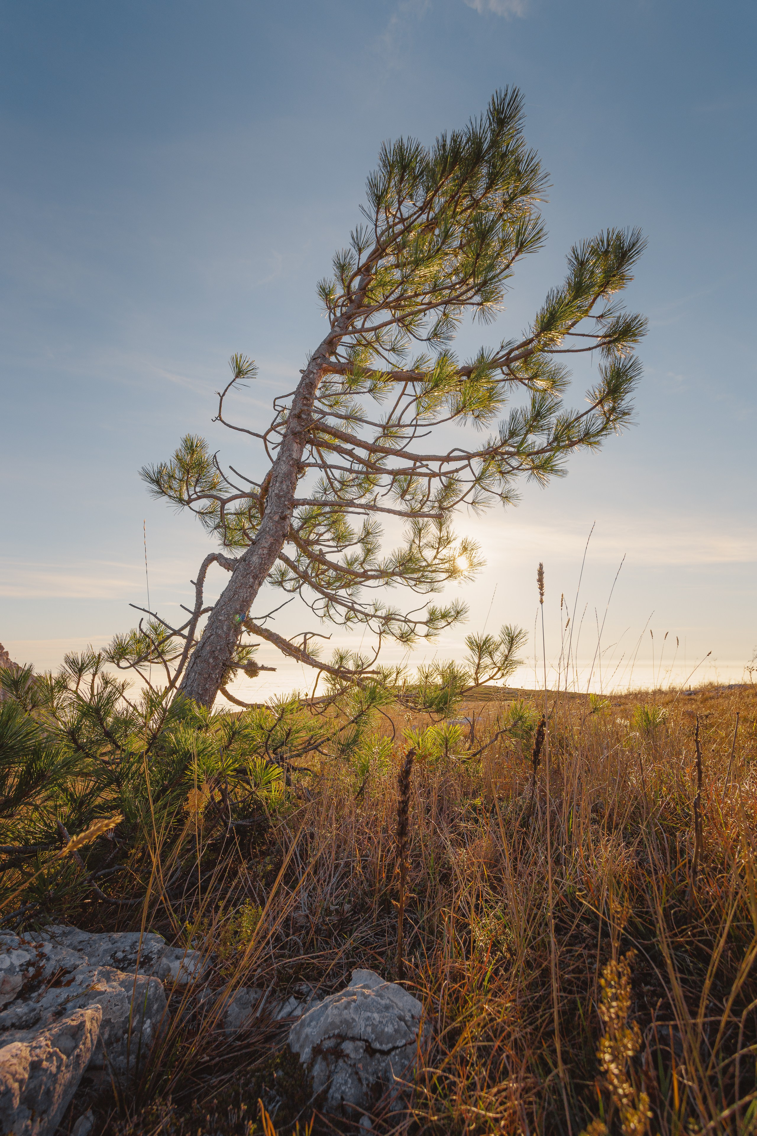Пейзажная фотография. Фотошкола ArtFotoLife для начинающих и продвинутых фотографов