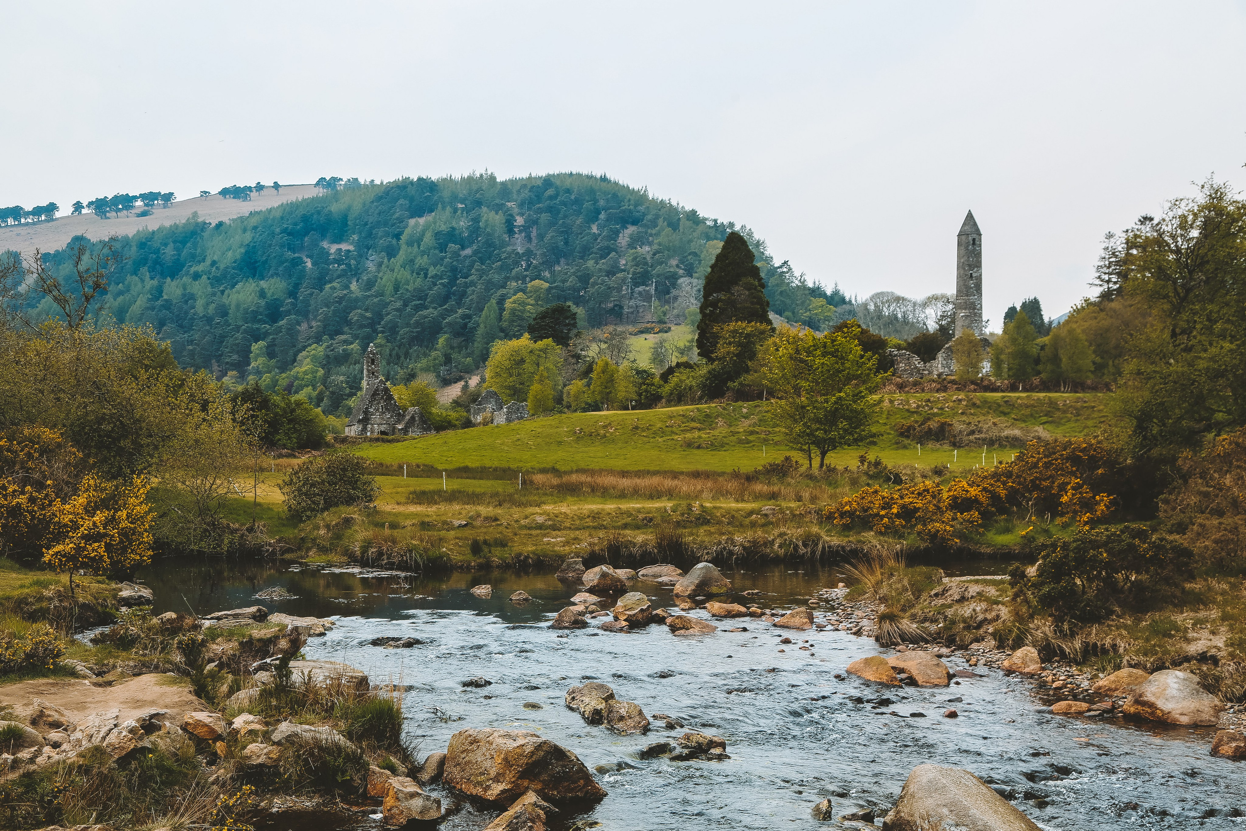 Ирландия: Горы Уиклоу. Дарья Письменюк / Darya Leitstern — фотограф, музыкант, журналист, путешественник