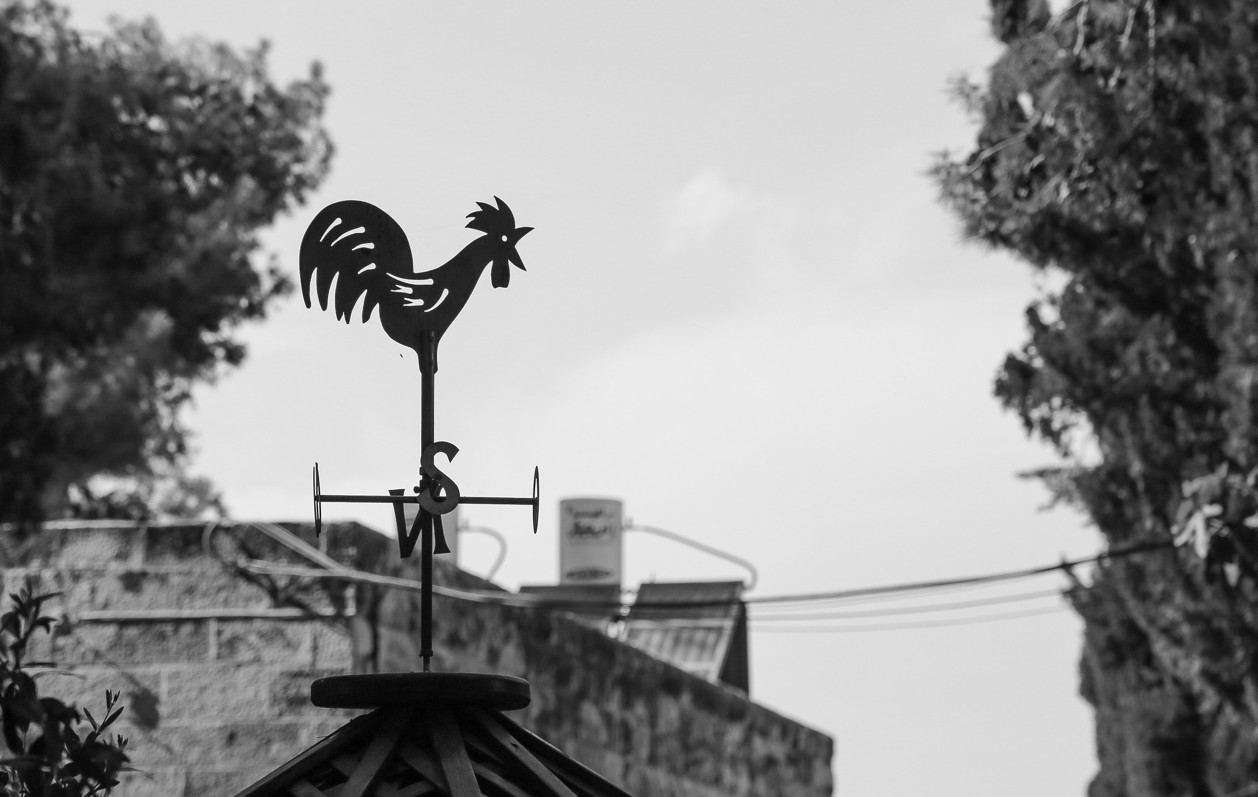 Израиль: Иерусалим. Дарья Письменюк / Darya Leitstern — фотограф, музыкант, журналист, путешественник