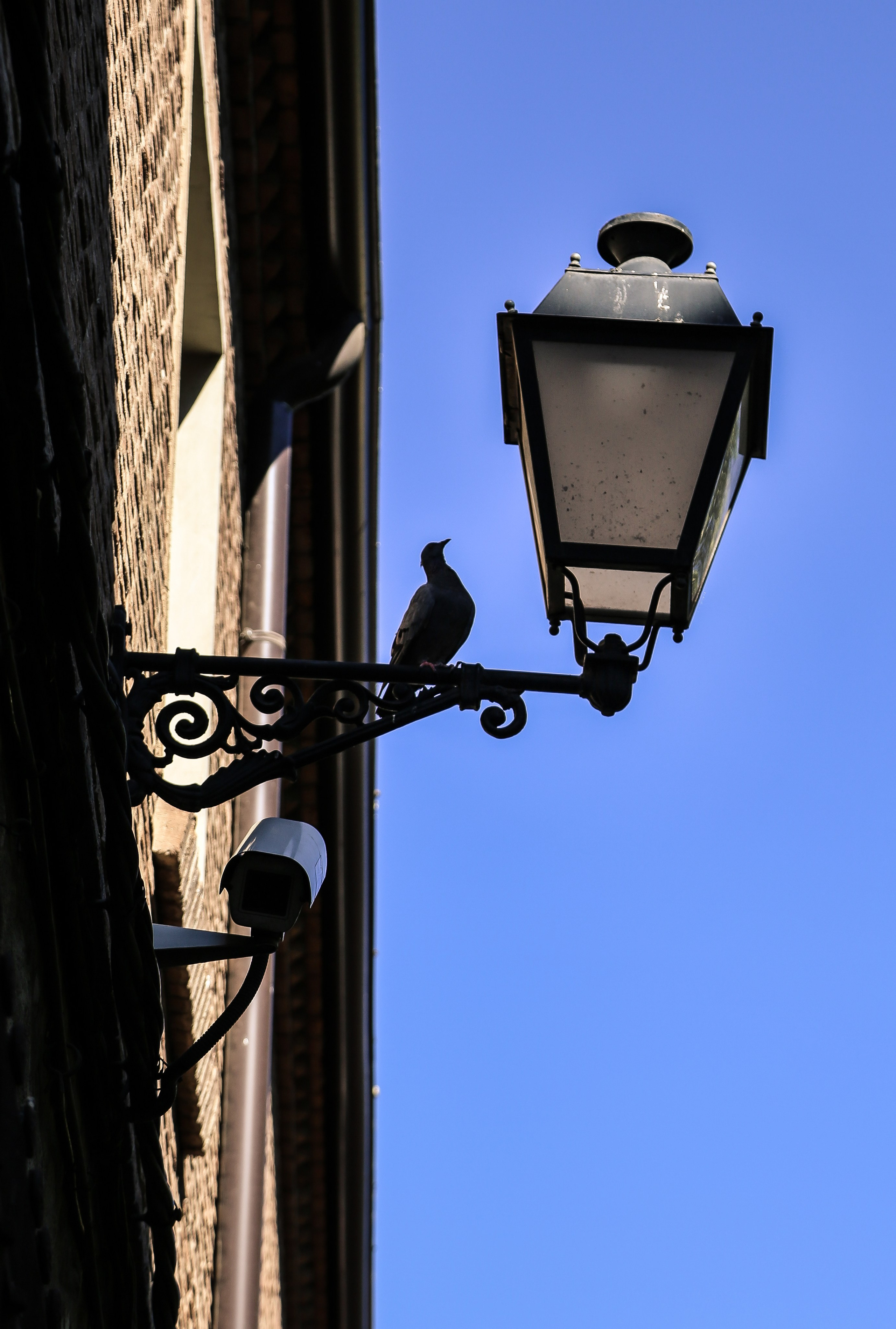 Испания: Толедо. Дарья Письменюк / Darya Leitstern — фотограф, музыкант, журналист, путешественник