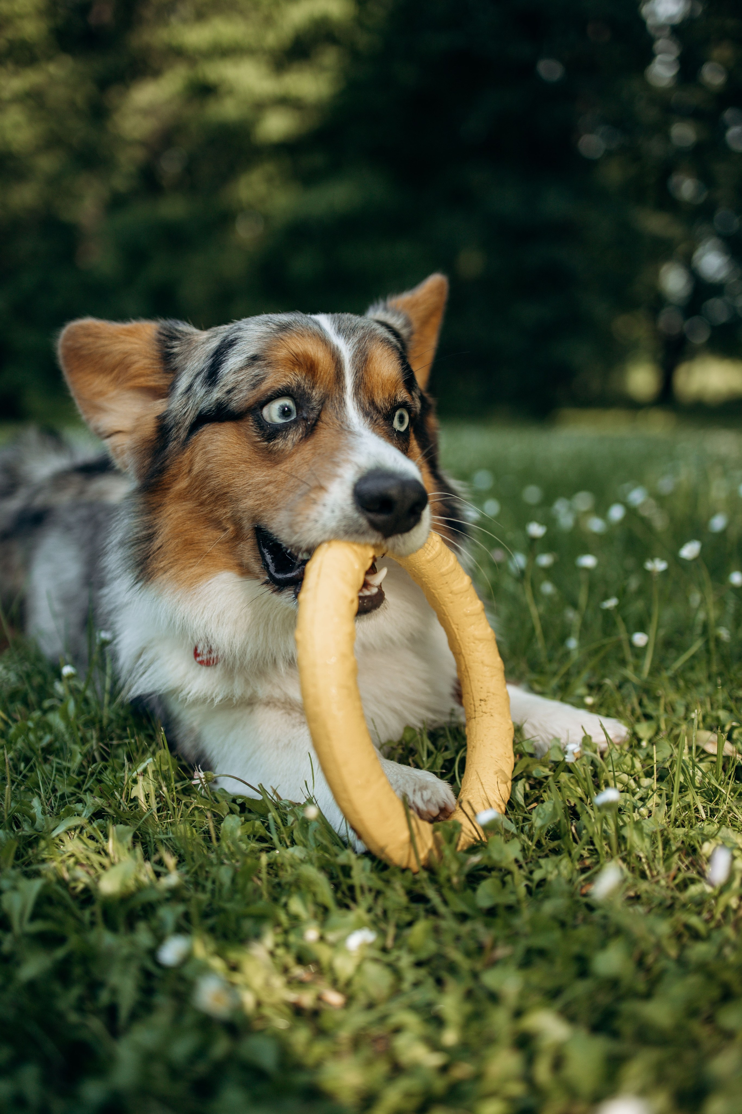 Евгения и Грей