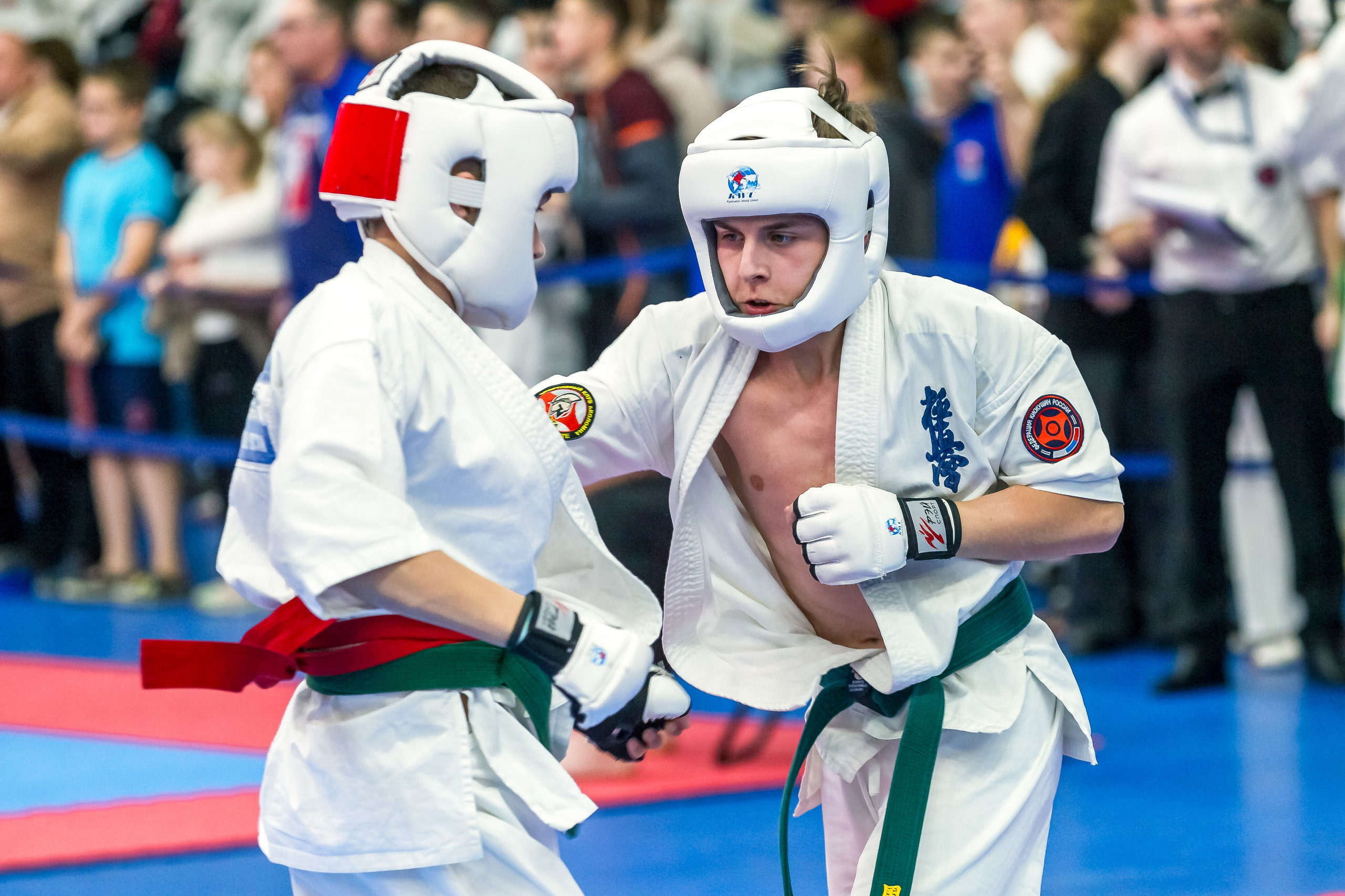 Соревнования по Киокушин памяти С. Увицкого. Репортажная съемка в Москве и области. Анималистика