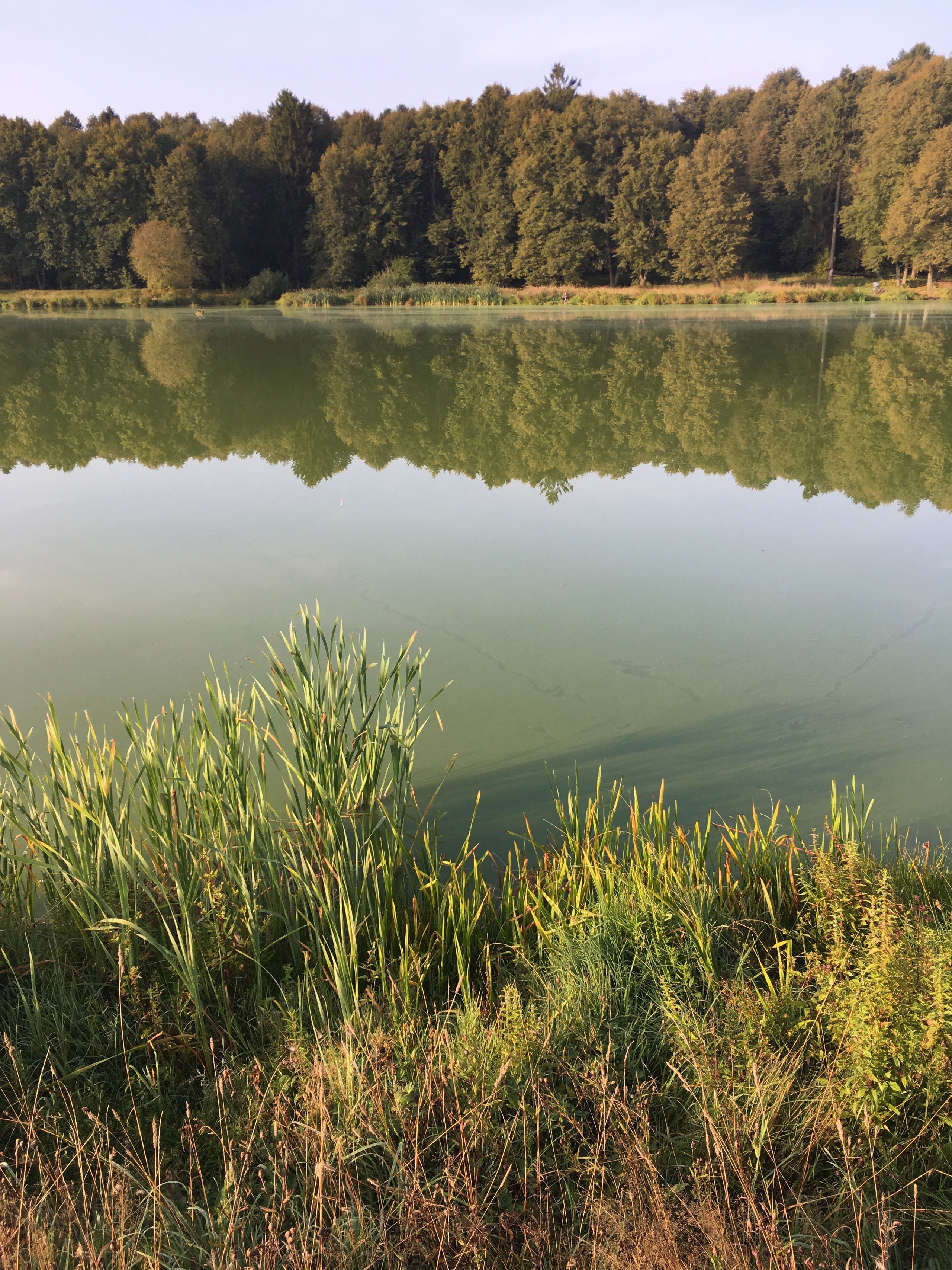 Молоди-19. Своя Мастерская