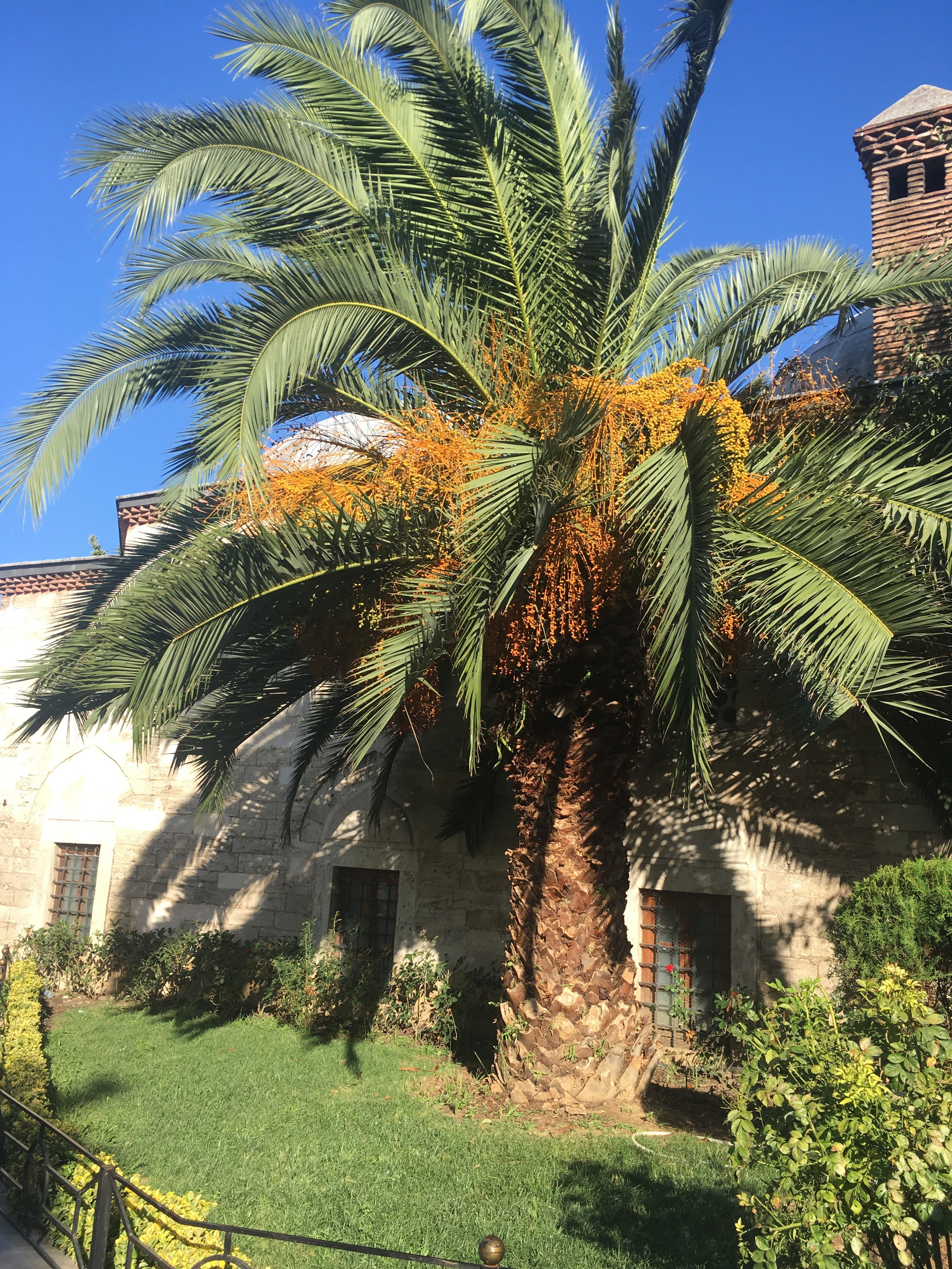 Турция -19. Своя Мастерская