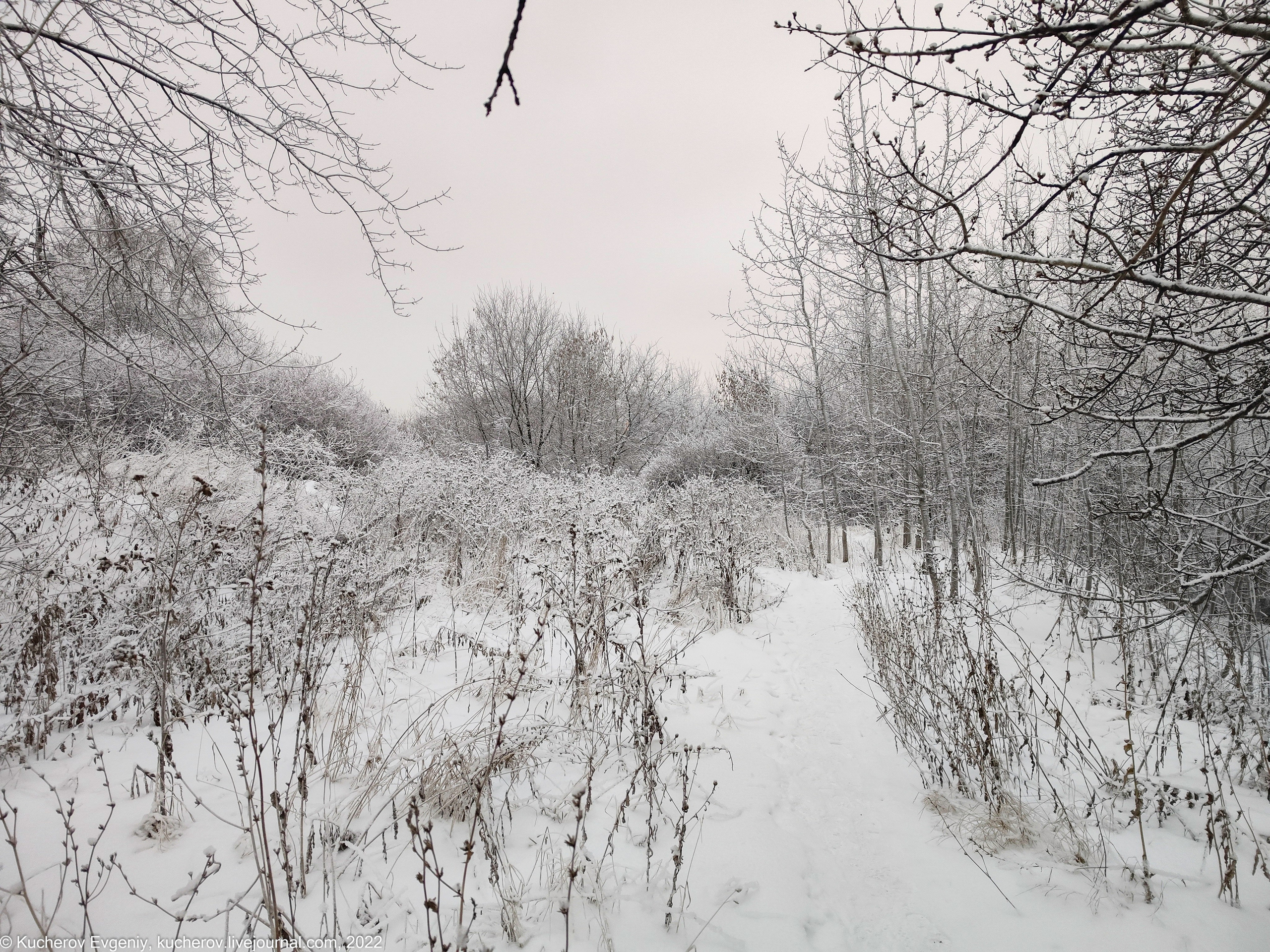Коломенское. Кучеров Евгений. Фотограф