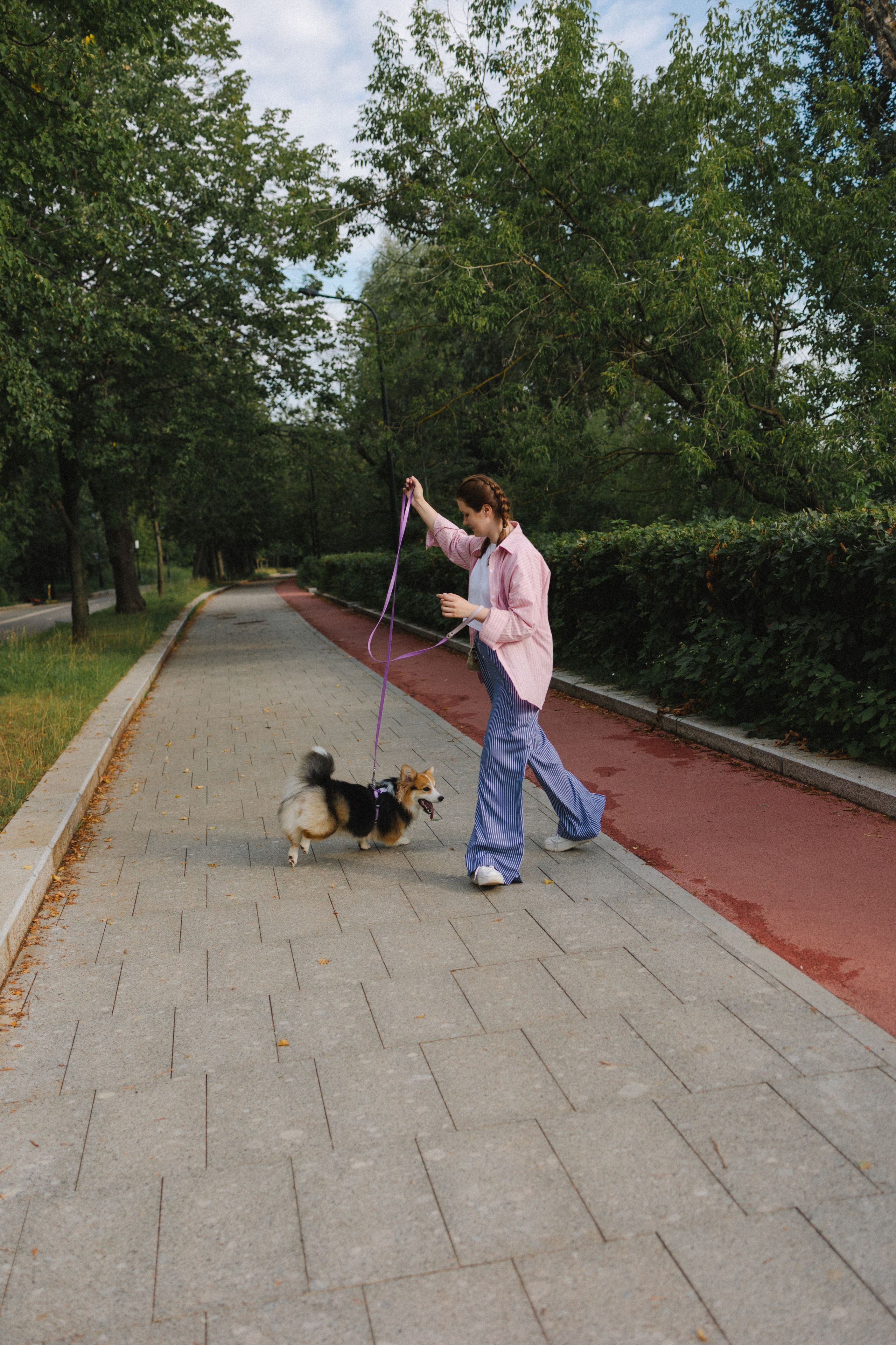 Мишель и Влада. Фотораф — анималист Мария Шистка