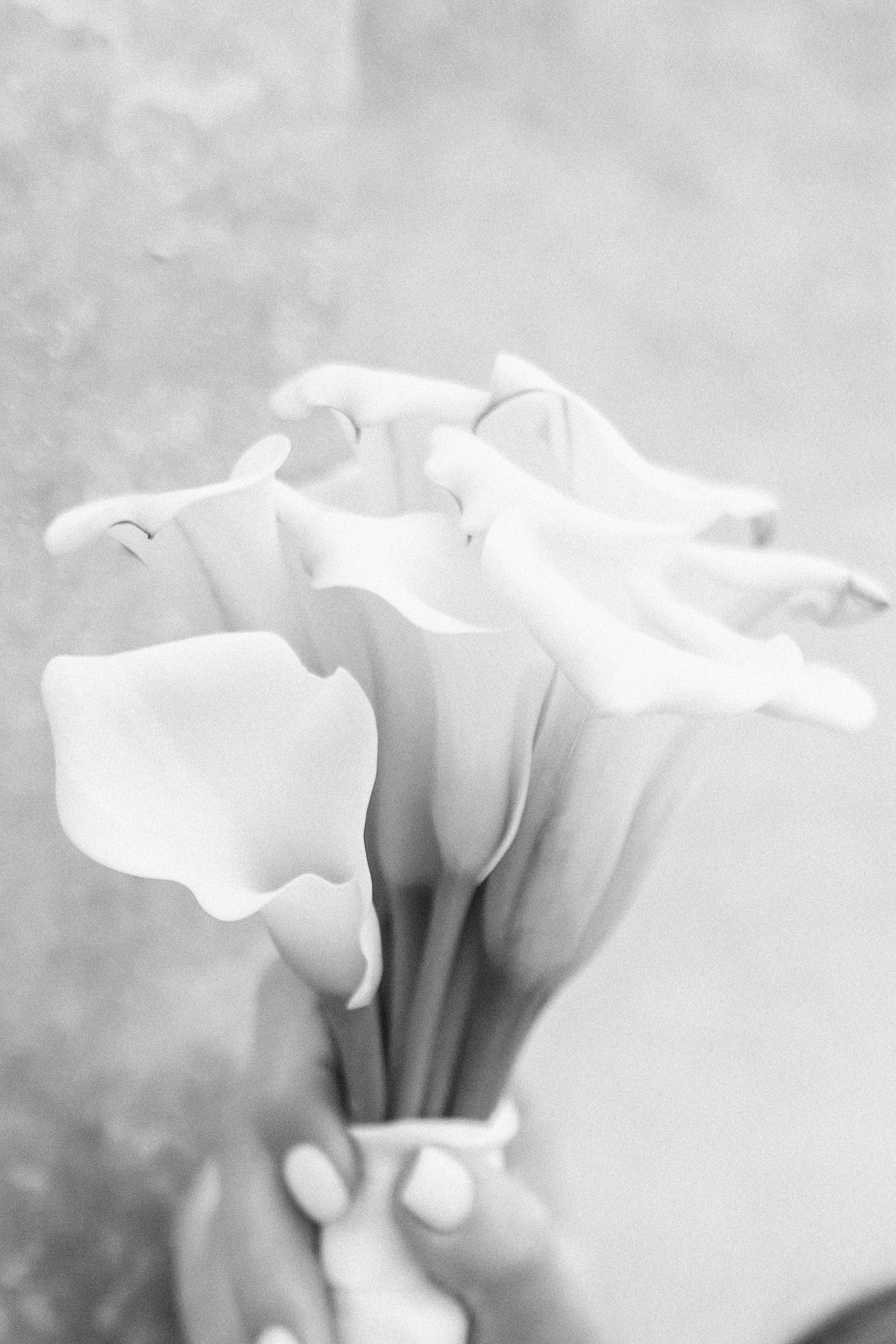 I&M Wedding day. Свадебный, репортажный, семейный фотограф Елена Брюхова