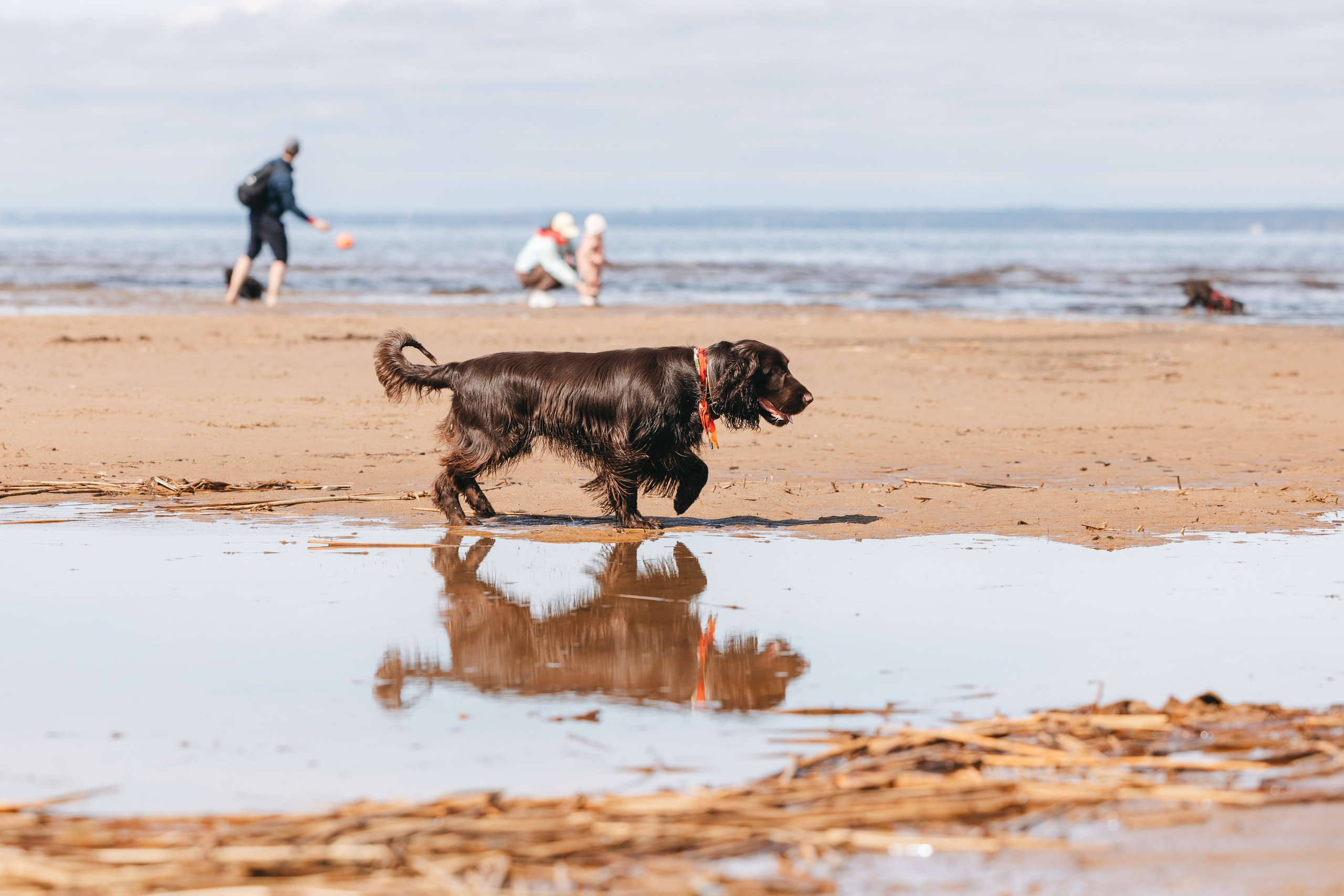 Спанимания. Фотограф анималист Осипчикова Мария