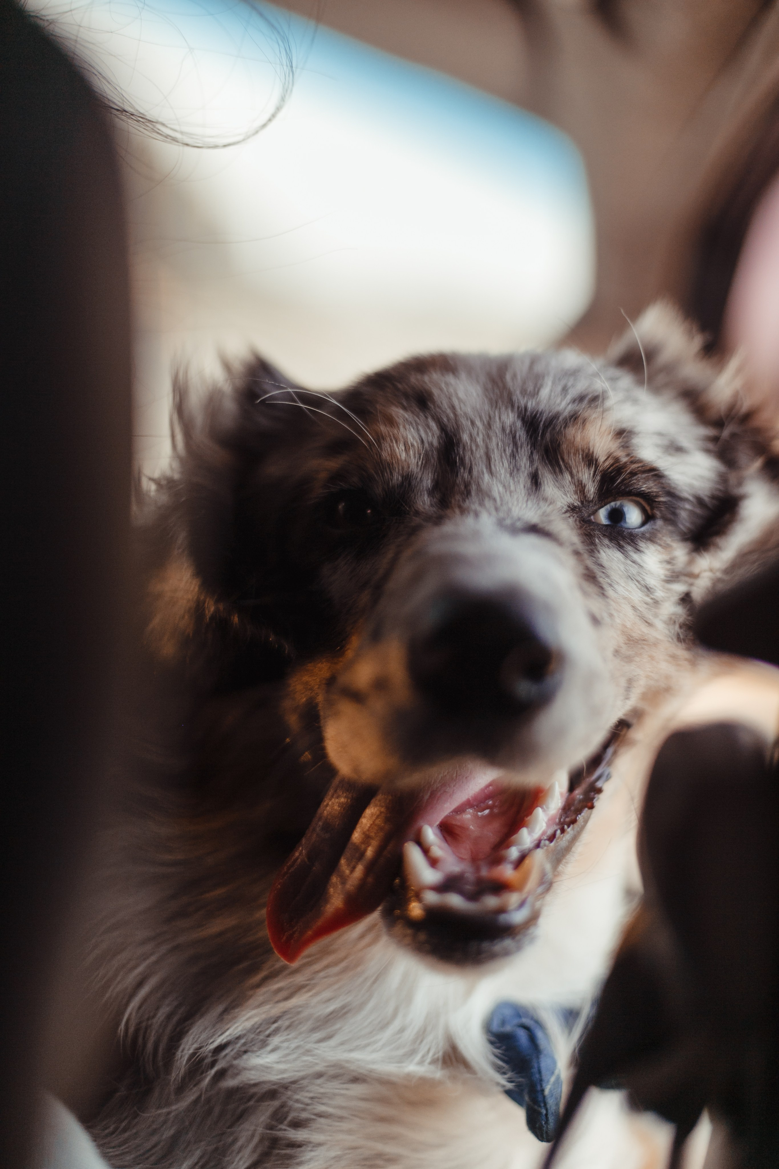 Mike. PHOTOGRAPHER romanoff-egor