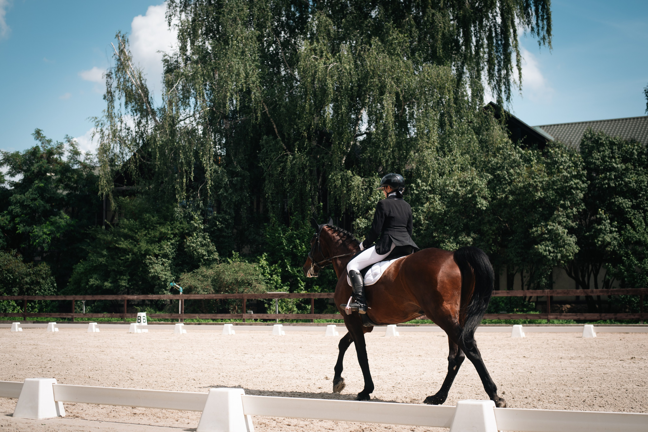 Выездка 10.08.25. Фотограф, визажист. Москва