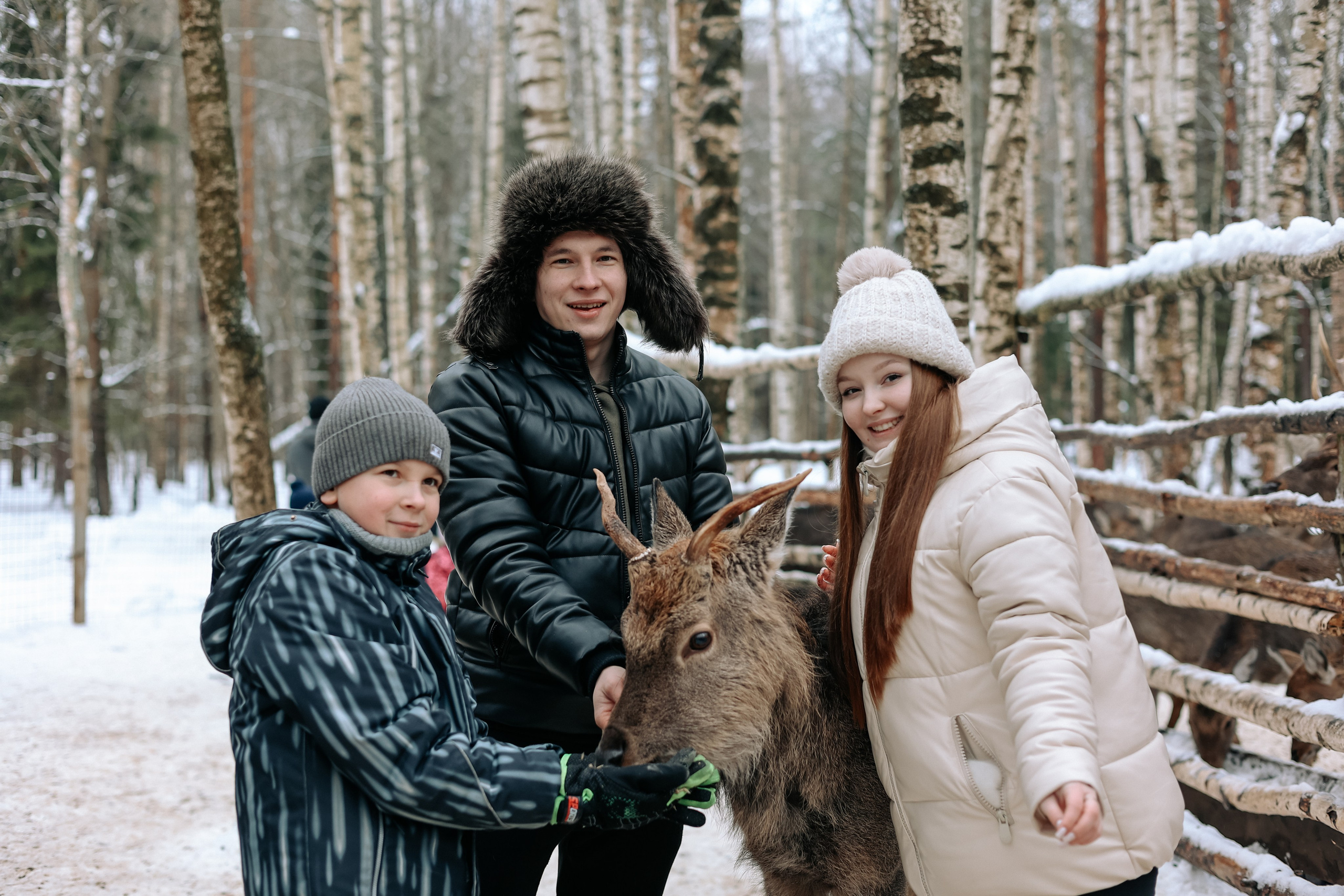 Экскурсия «Мир оленей». Фотограф Диана Воробьева Нижний Новгород