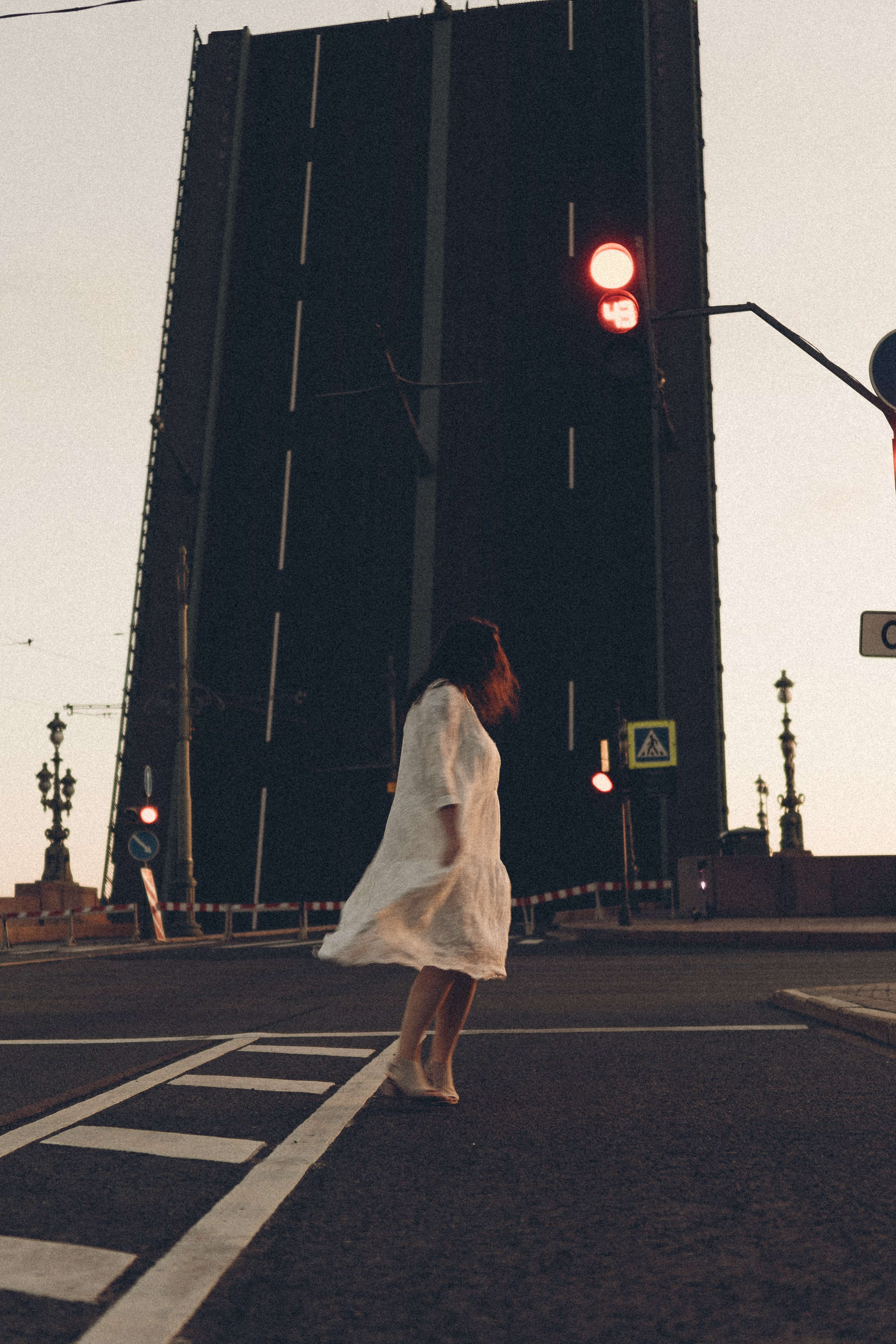 РАССВЕТ С РАЗВОДНЫМИ МОСТАМИ. Профессиональный фотограф, Санкт-Петербург — Виктория Богомолова