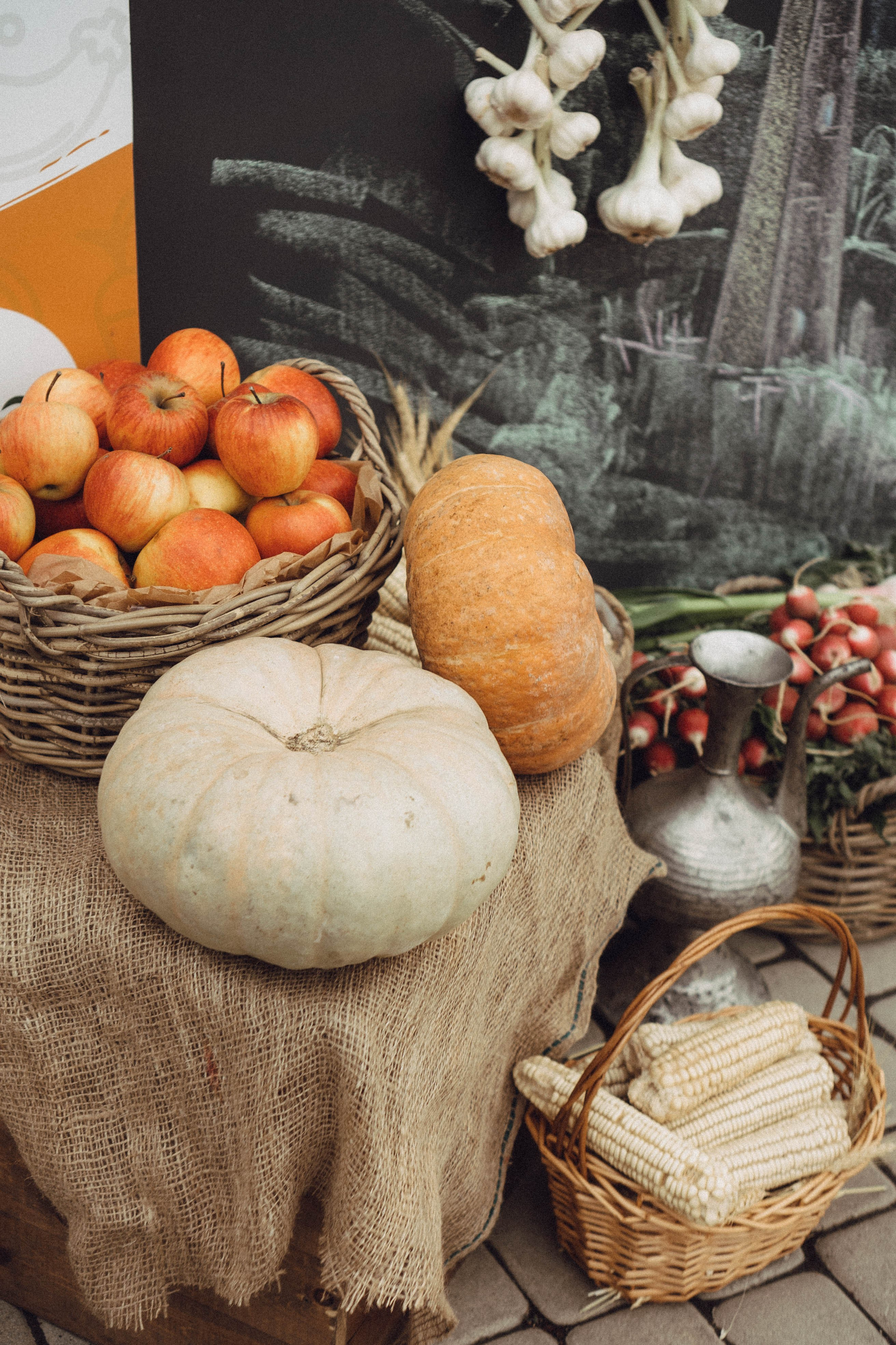 Кавказ. Профессиональный фотограф, Санкт-Петербург — Виктория Богомолова