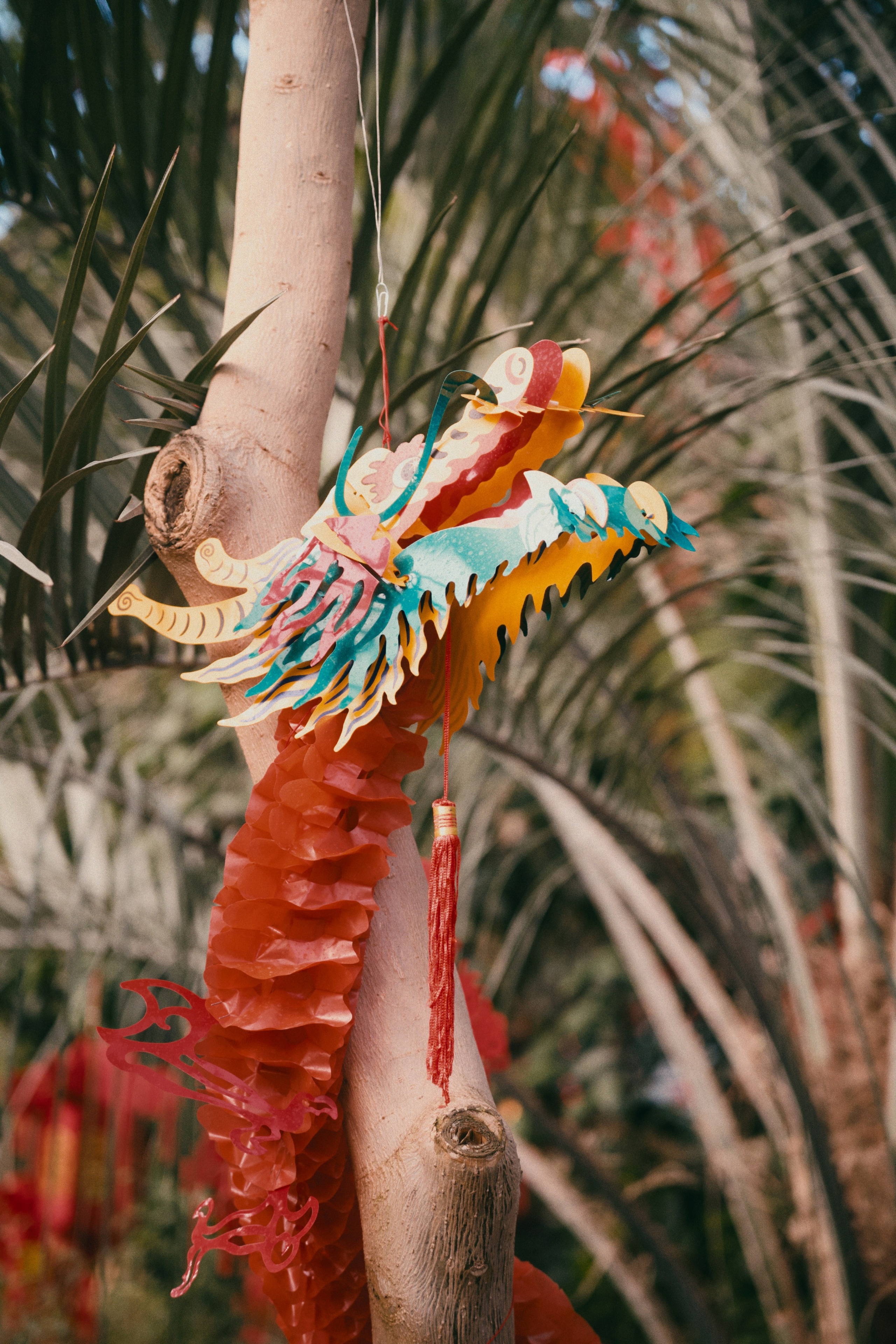 Аптекарский огород. Фотограф-любитель из Кирова Андрей Погребняк