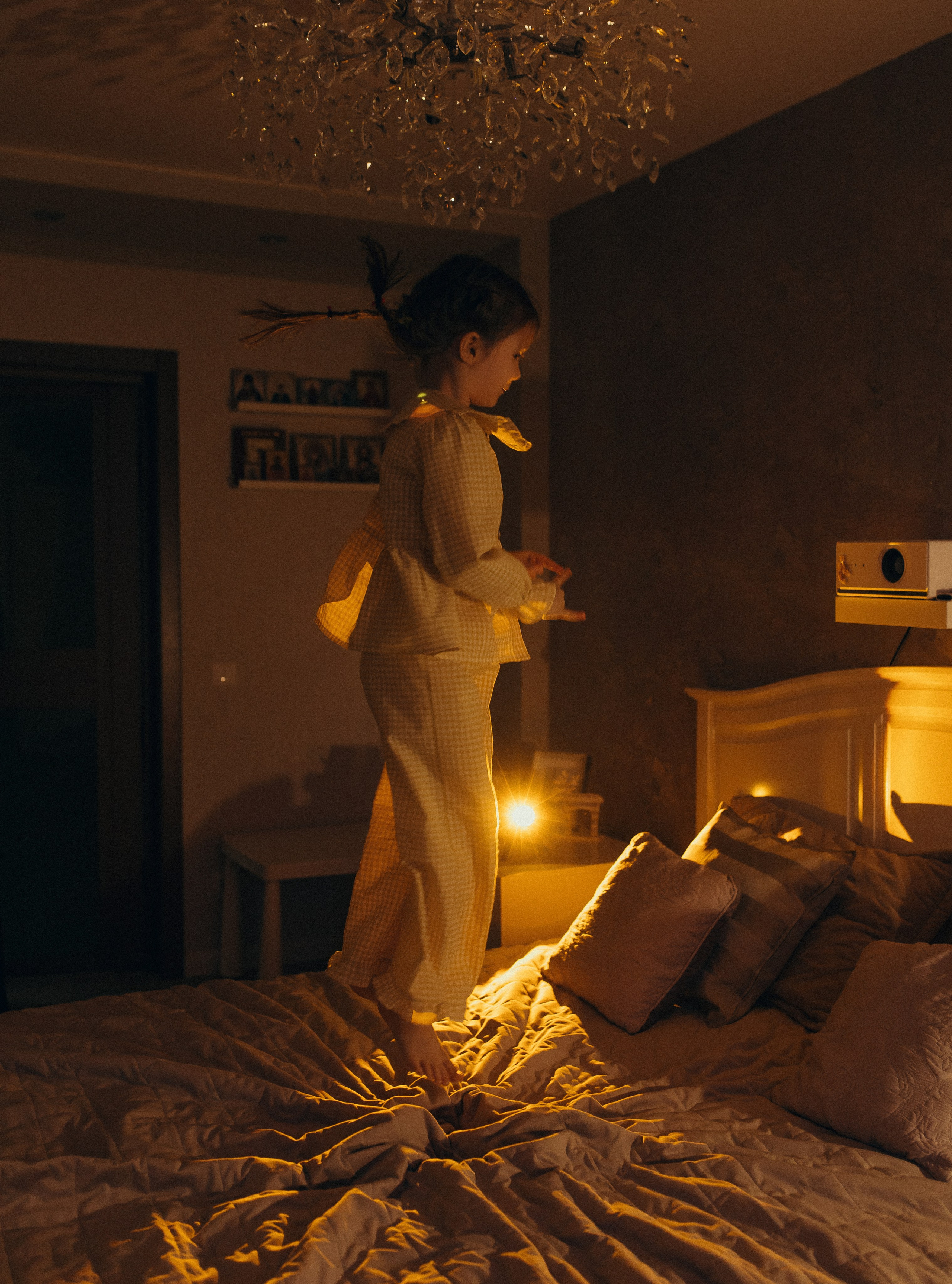 Домашняя история. Meryfotoidea