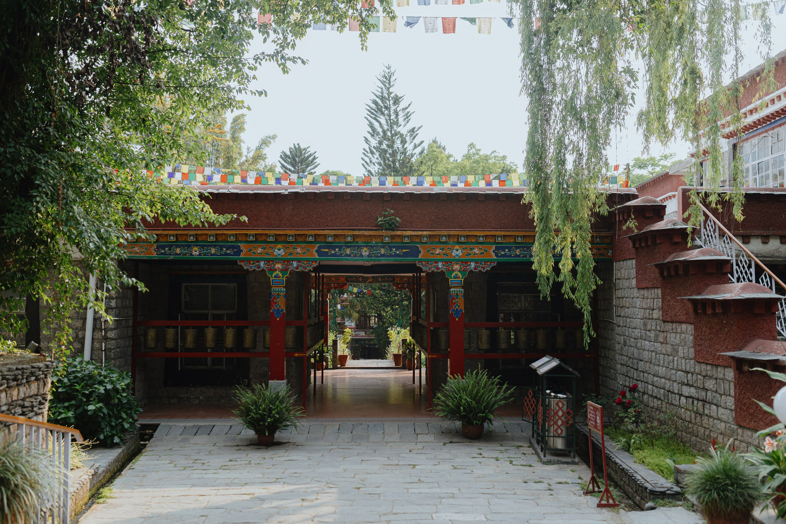 Экскурсия в резиденцию Далай Ламы с Косом и Лу. Фотограф Ольхон/ Индия, Регина