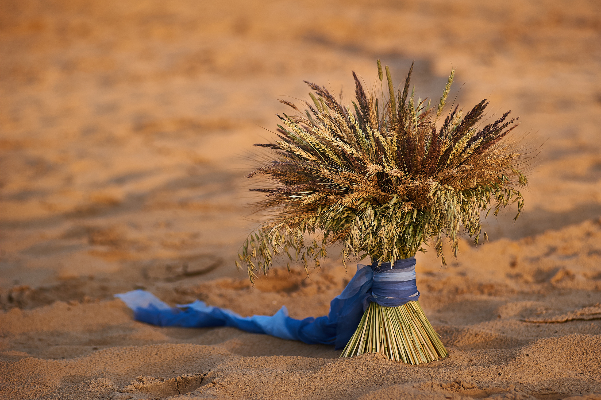 Свадебная фотосессия на рассвете на берегу