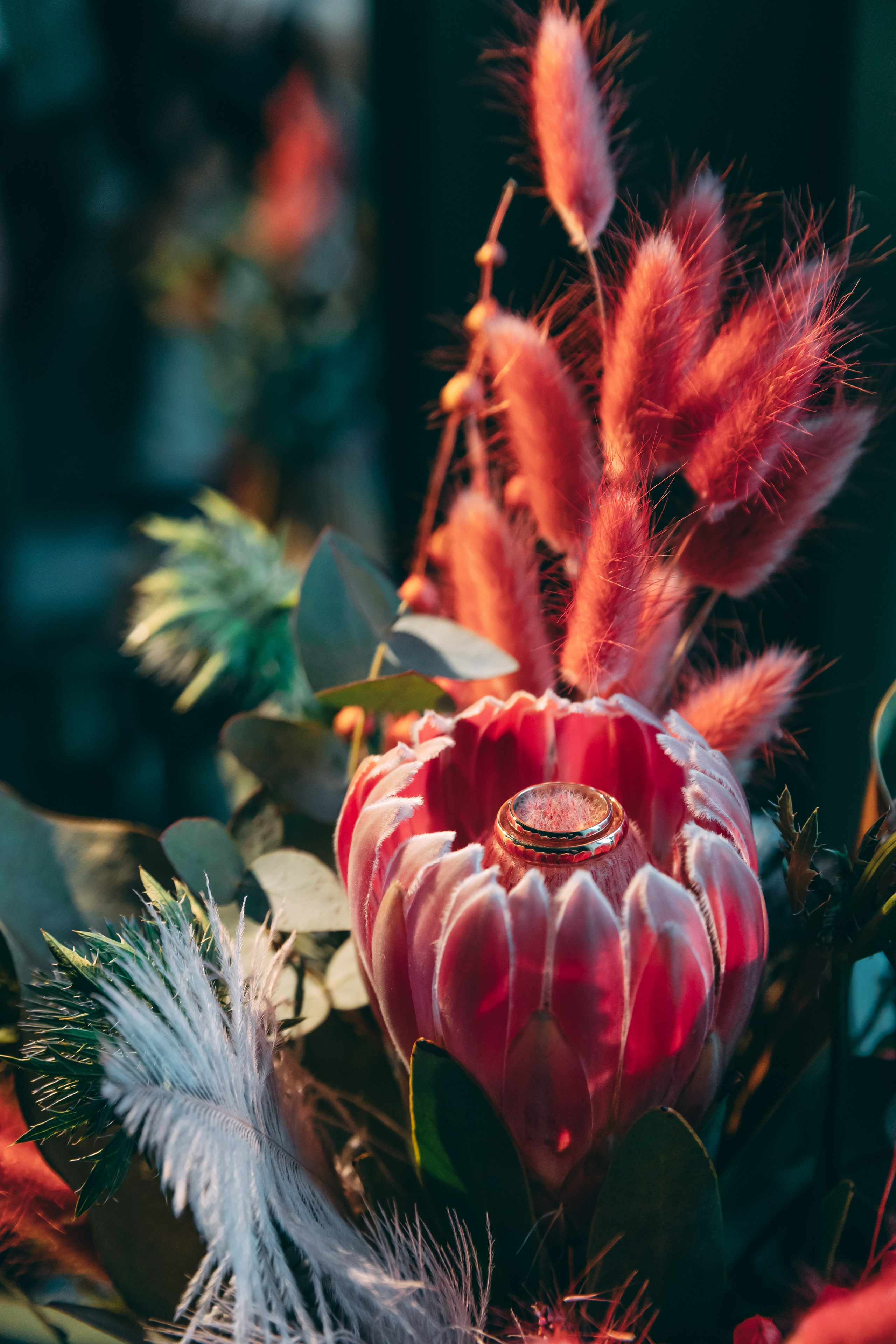 Костя и Катя. Семейный фотограф в Санкт-Петербурге Алиса Мохова