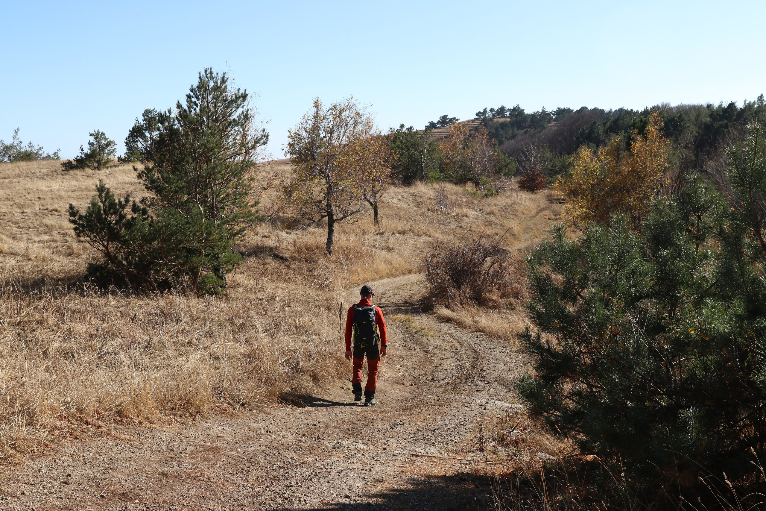 Крым. ЮБК (Гурзуф, Судак и их окрестности). Ноябрь 2023. Путешественник-фотограф из Санкт-Петербурга Татьяна Свистулина
