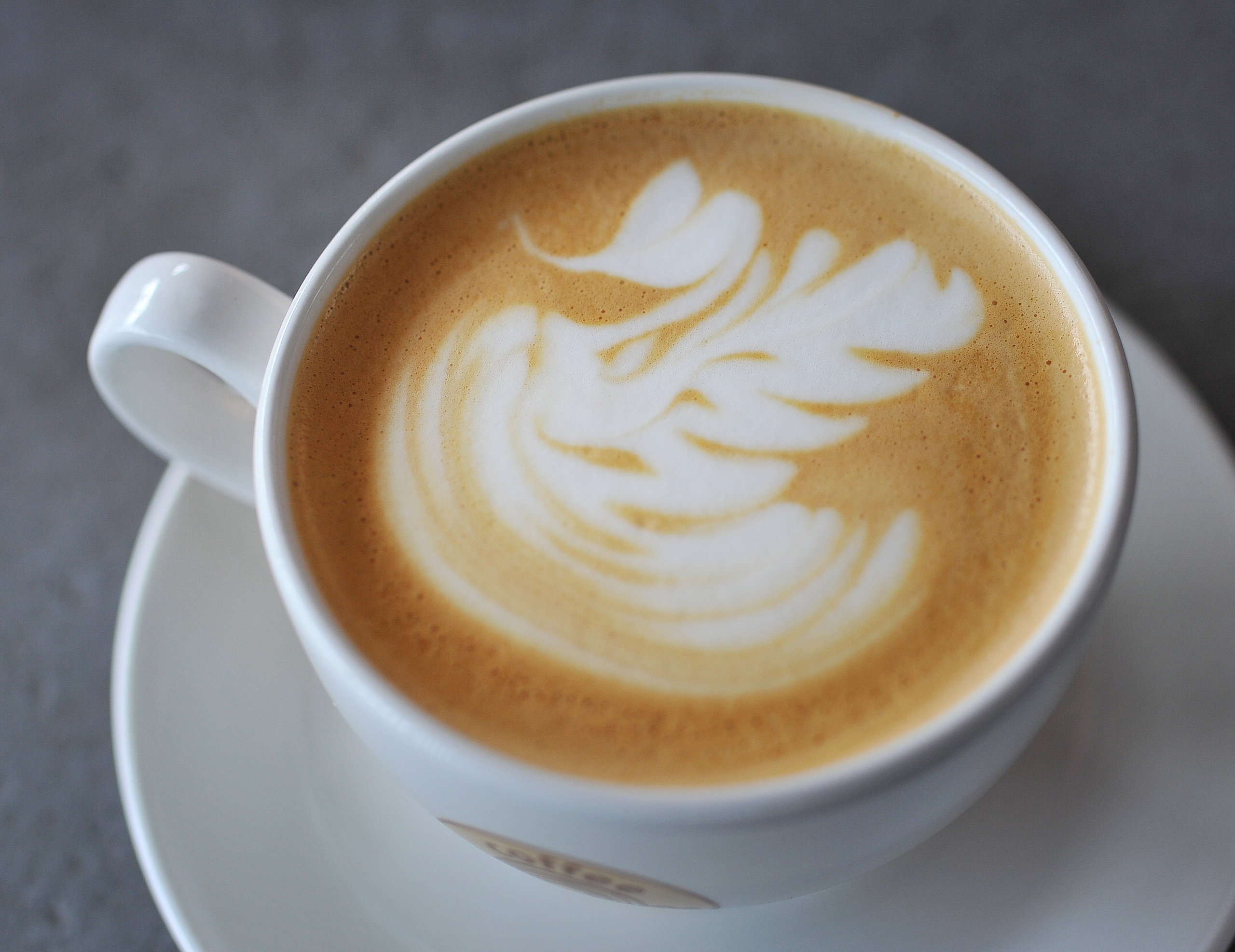 Предметная фотография. FotoGraf