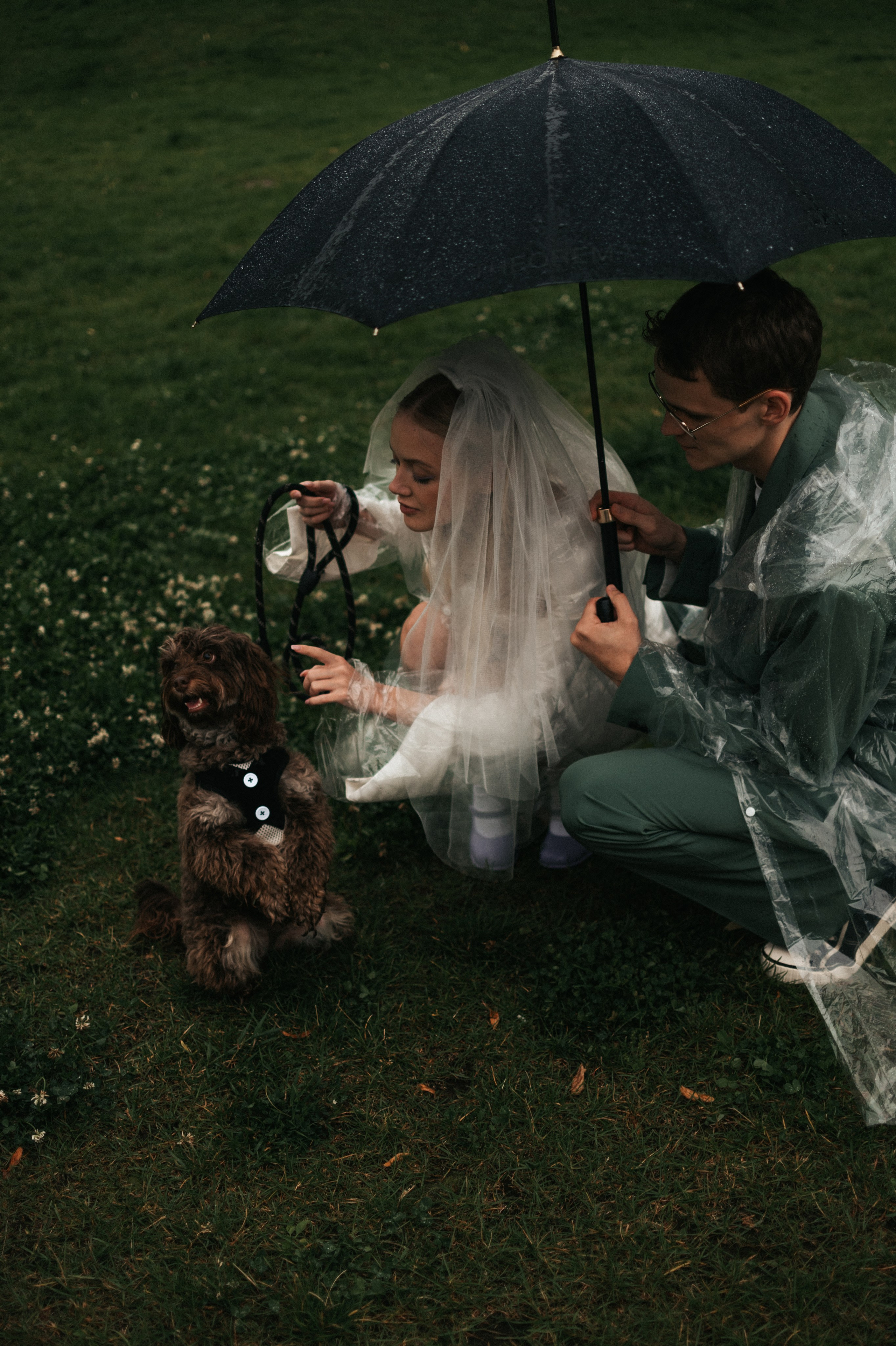 Александра и Дмитрий. Свадебный фотограф Москва и Санкт-Петербург. Анастасия Чудина