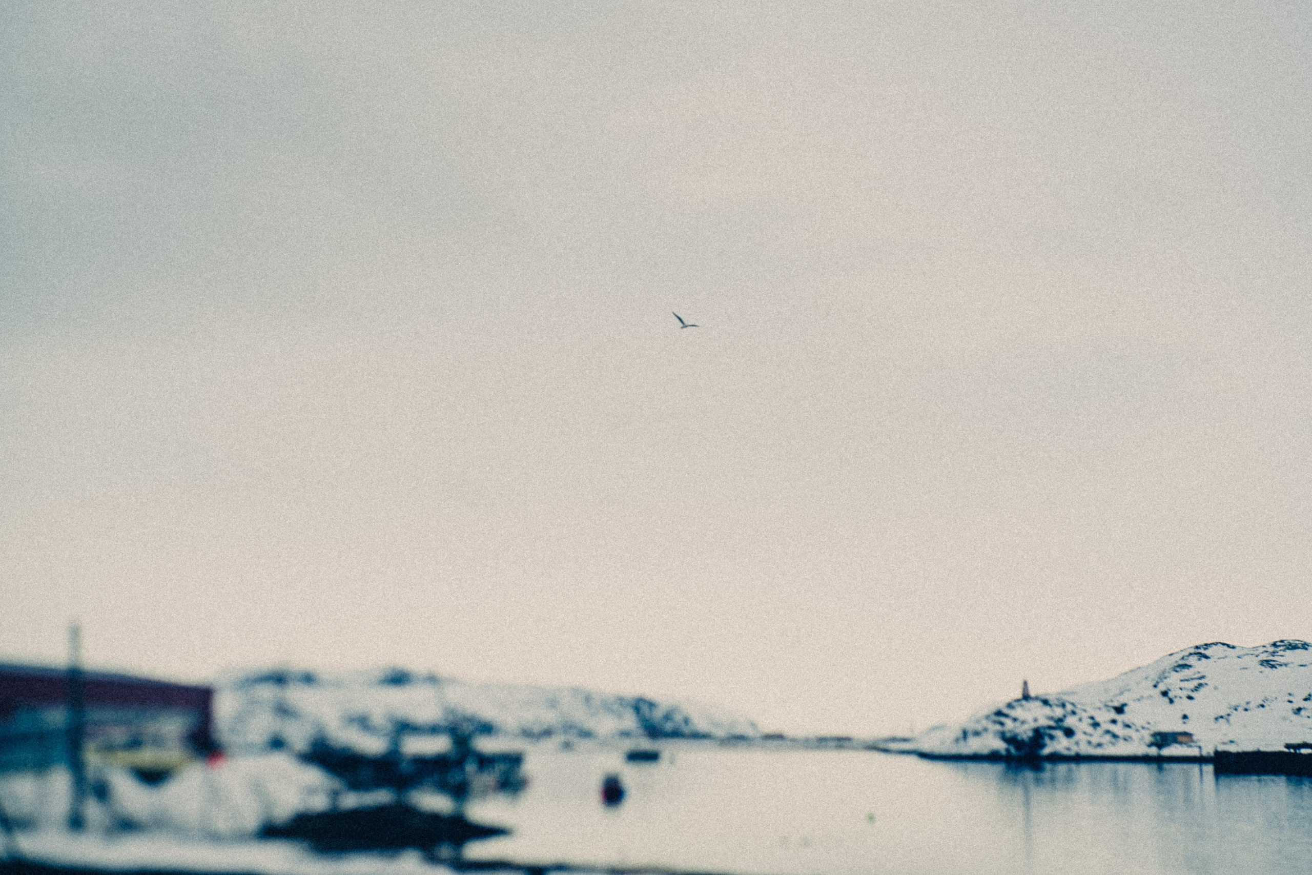 Северное Море. Фотограф * Вячеслав Скоробогатов * Визульный Артист