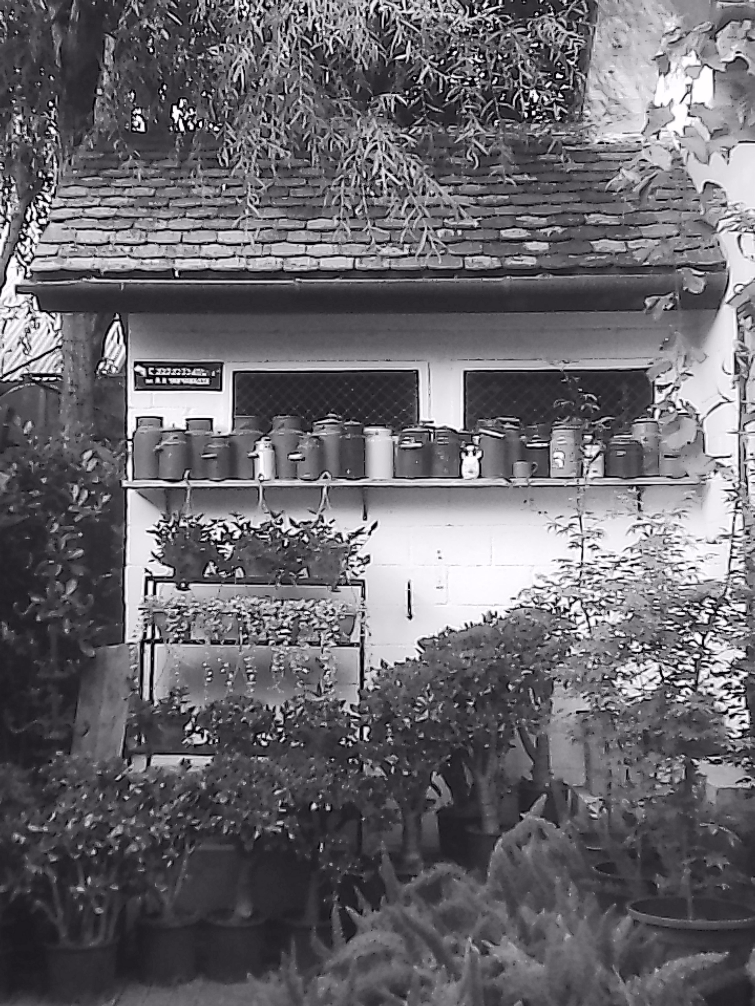 «Крошка 🐣». Anita_photo