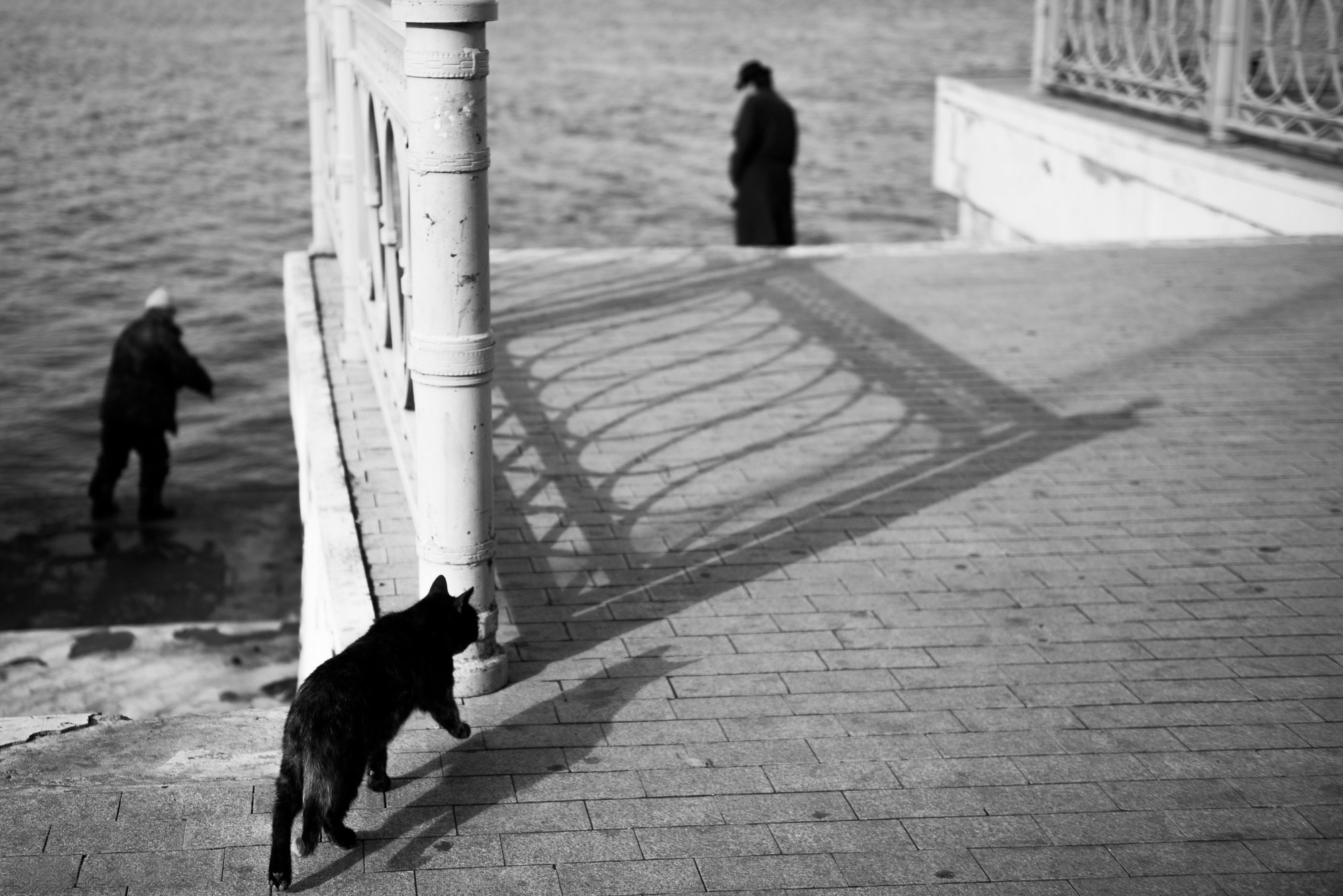 РЕПОРТАЖИ/ФОТО ДЛЯ СМИ. Фотограф