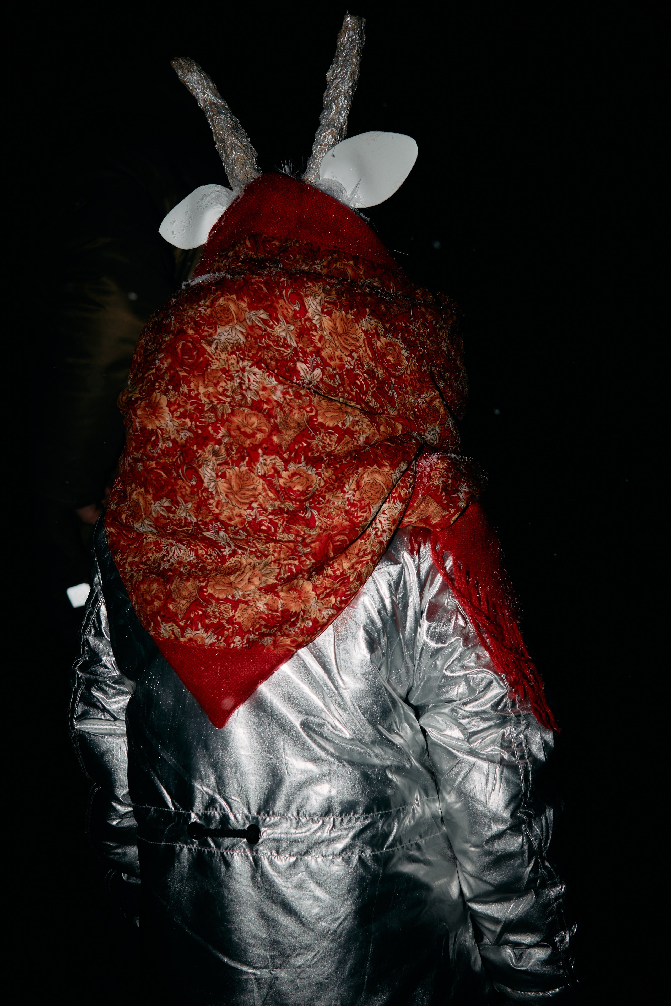 С медведем по соседям. Фотограф