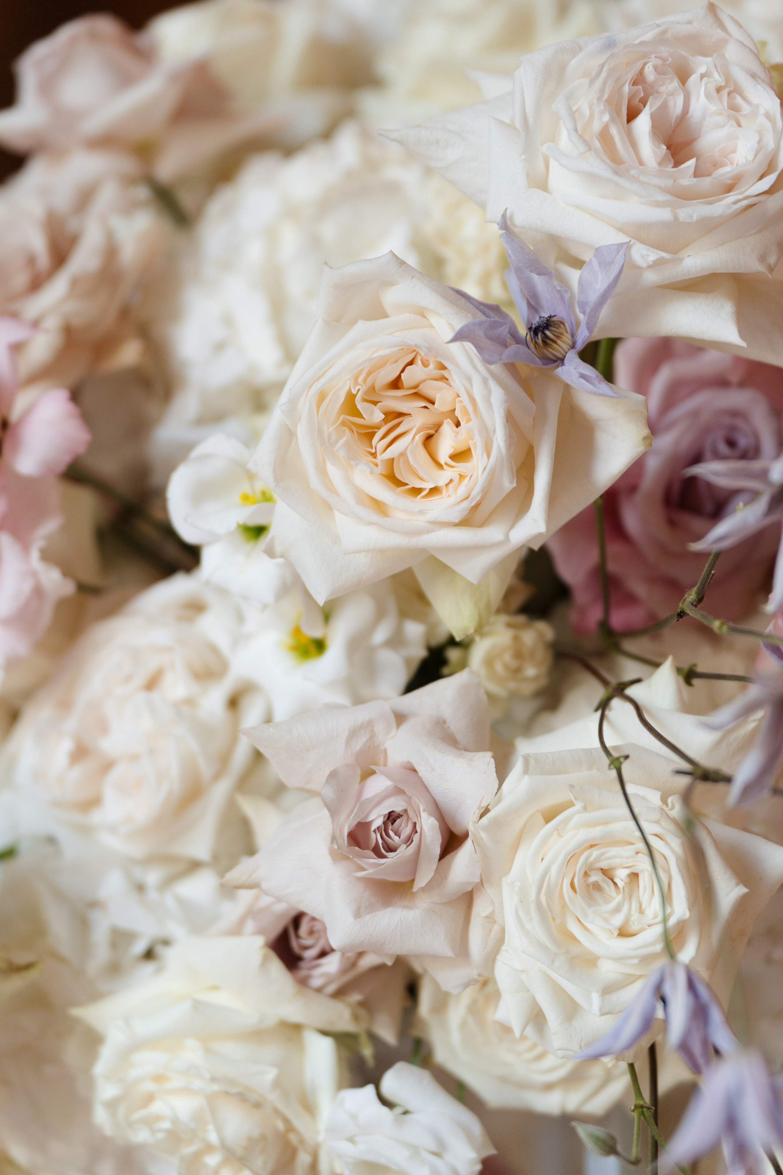 Villa Erba. Valeria Coconova Photographer Italy Como Milan