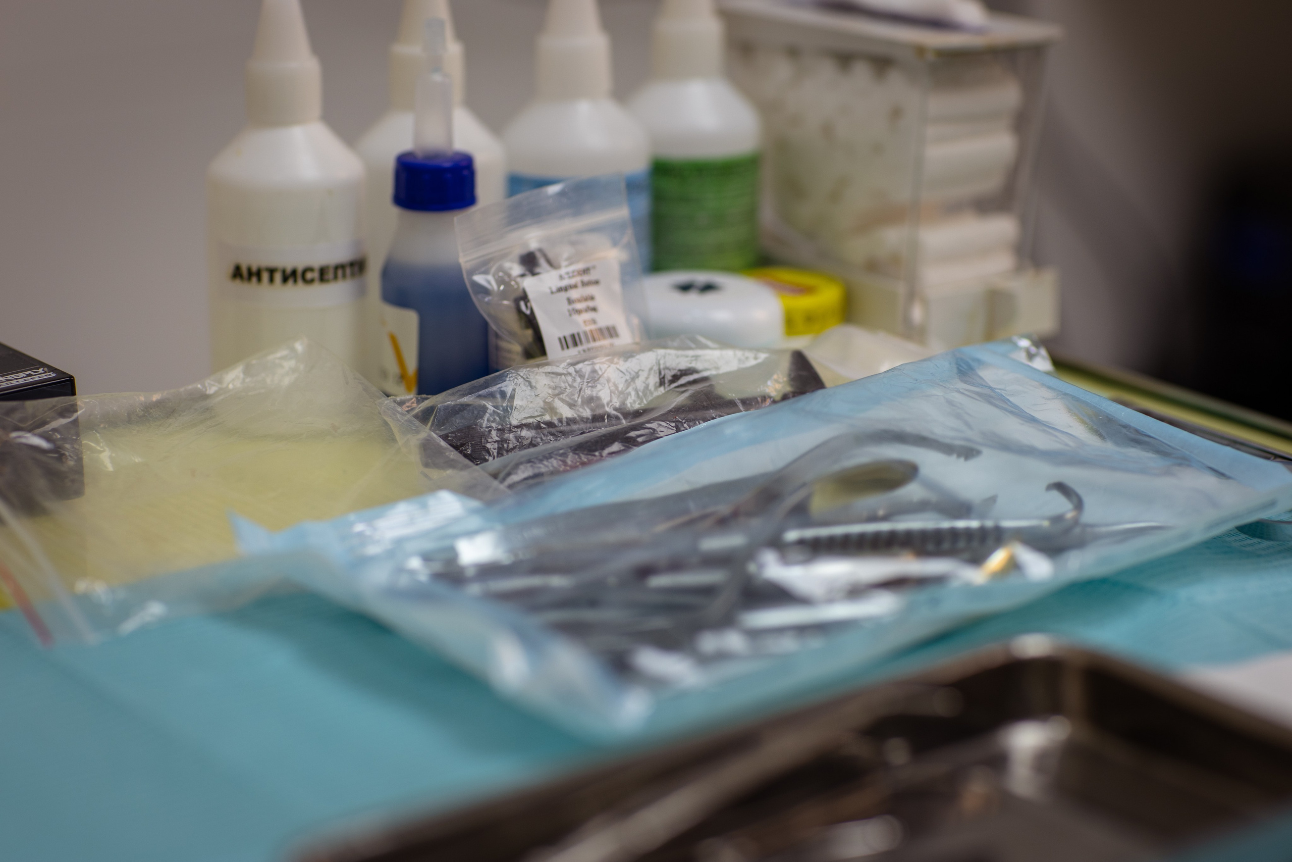 Стоматология «32 Удовольствия». Медиапродюсер, фотограф в Минеральных Водах —Виктор Холодов