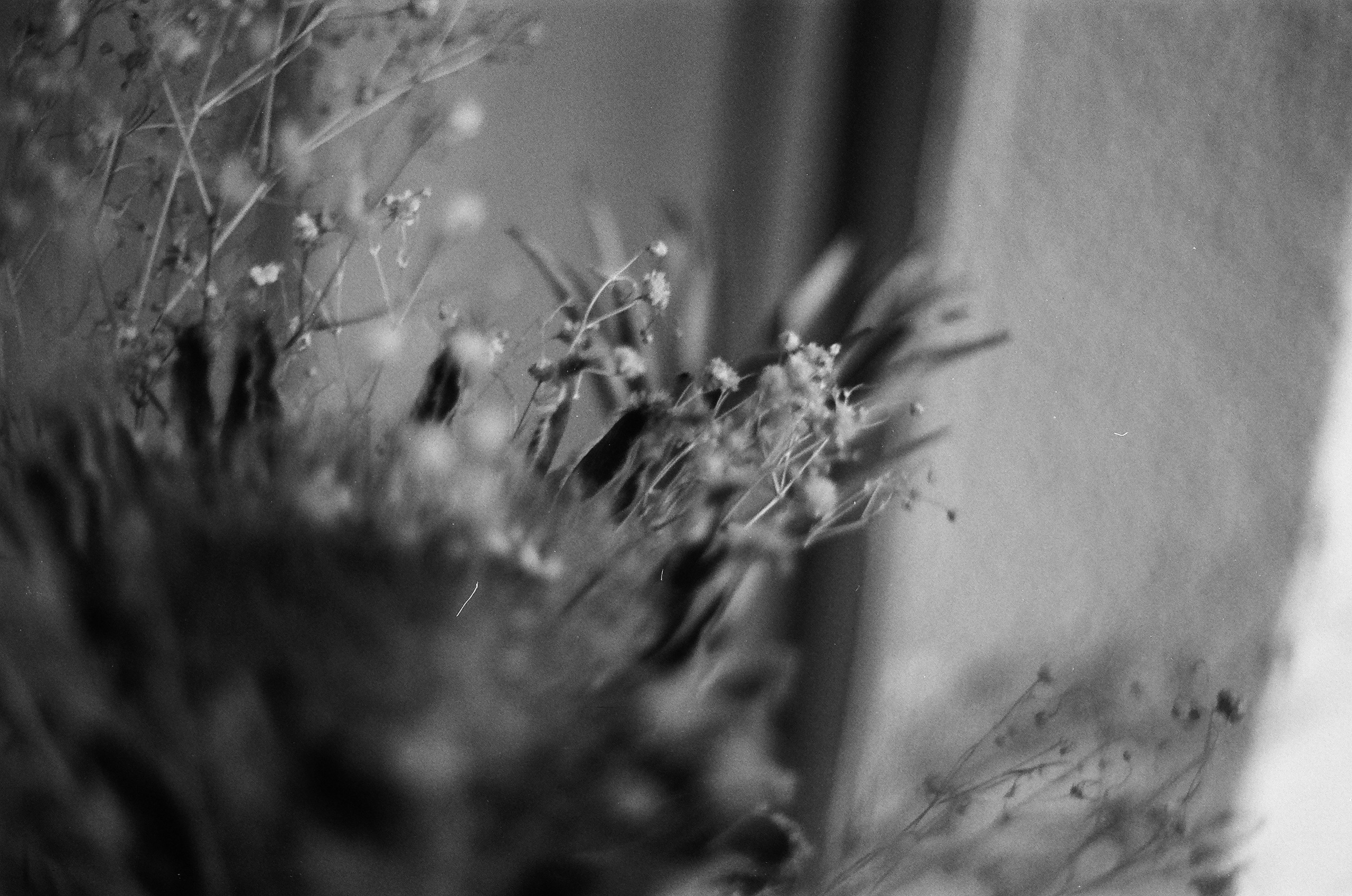 Dispersed Presence. Film and another stuff