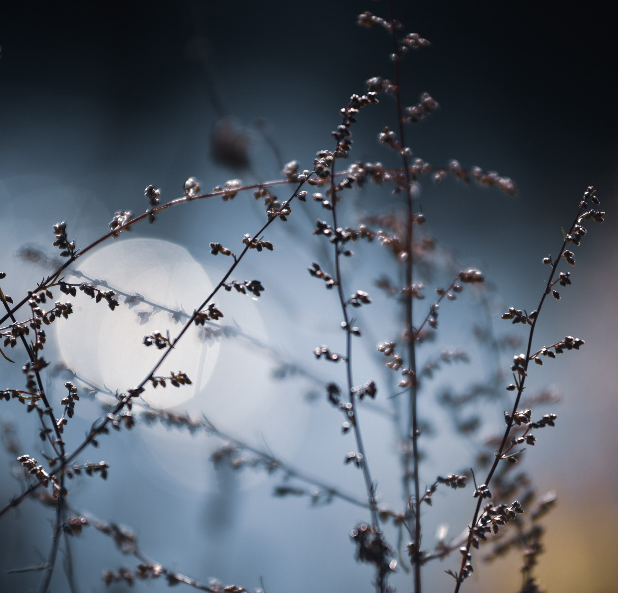 Nature. Anastasia Serdyuk, travel photographer, travel photo, portraits, stories, fineart prints