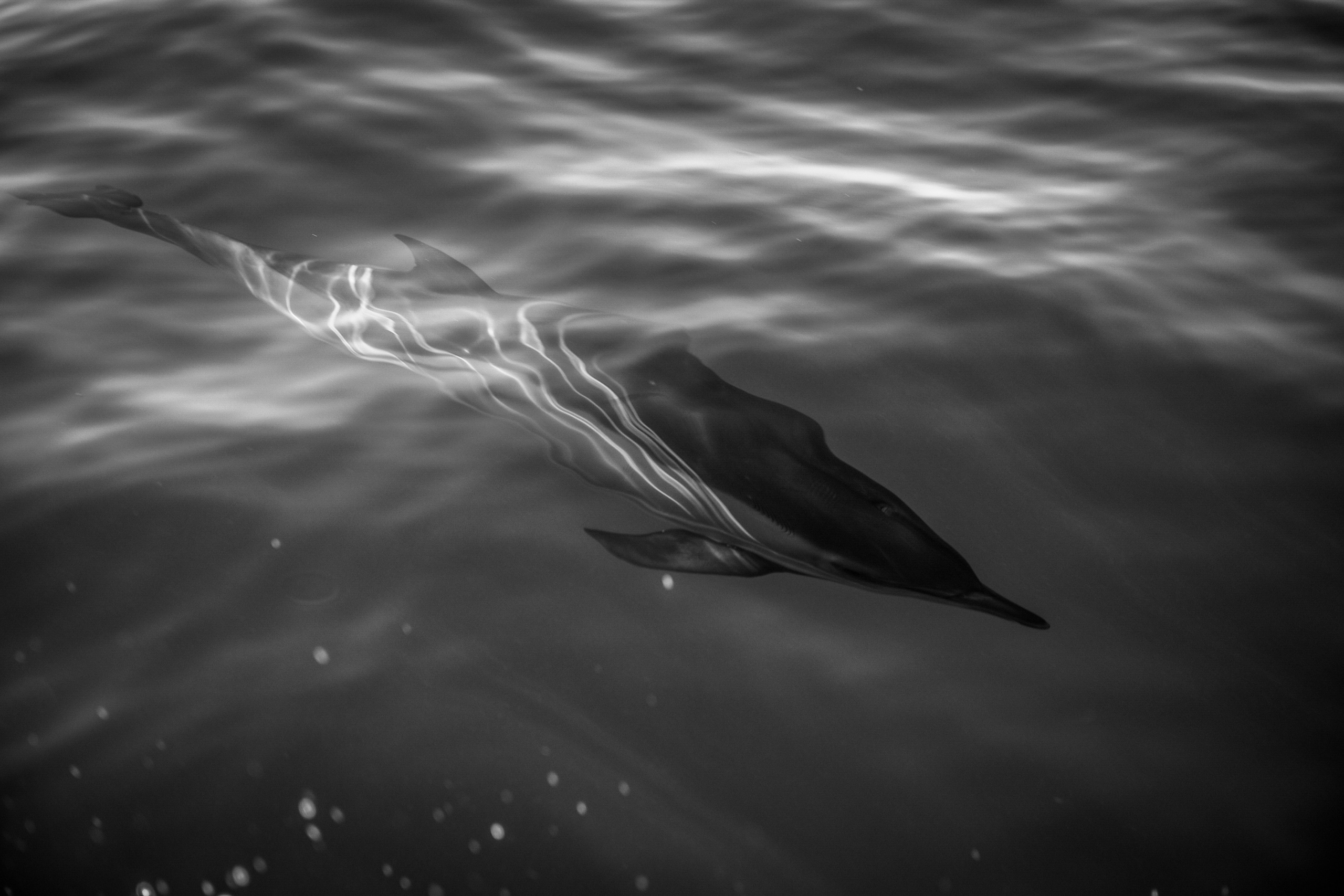 Wild and free. Anastasia Serdyuk, travel photographer, travel photo, portraits, stories, fineart prints