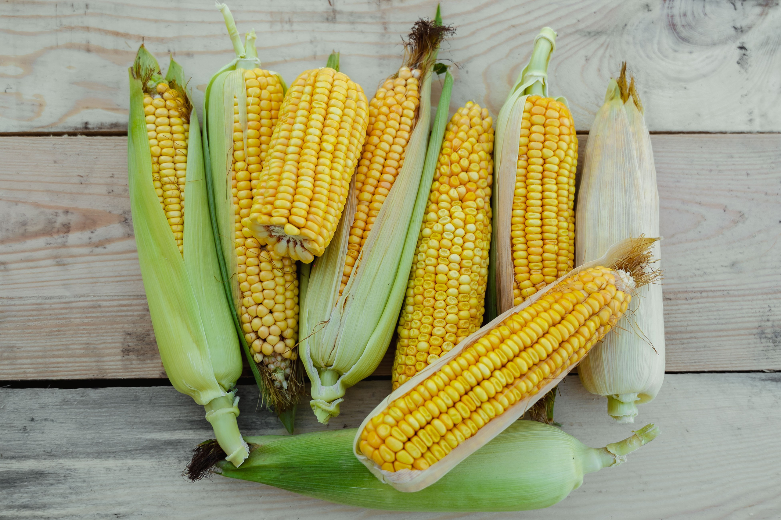 Коммерция. Портретный и событийный фотограф в Барнауле, Москве, Новосибирске