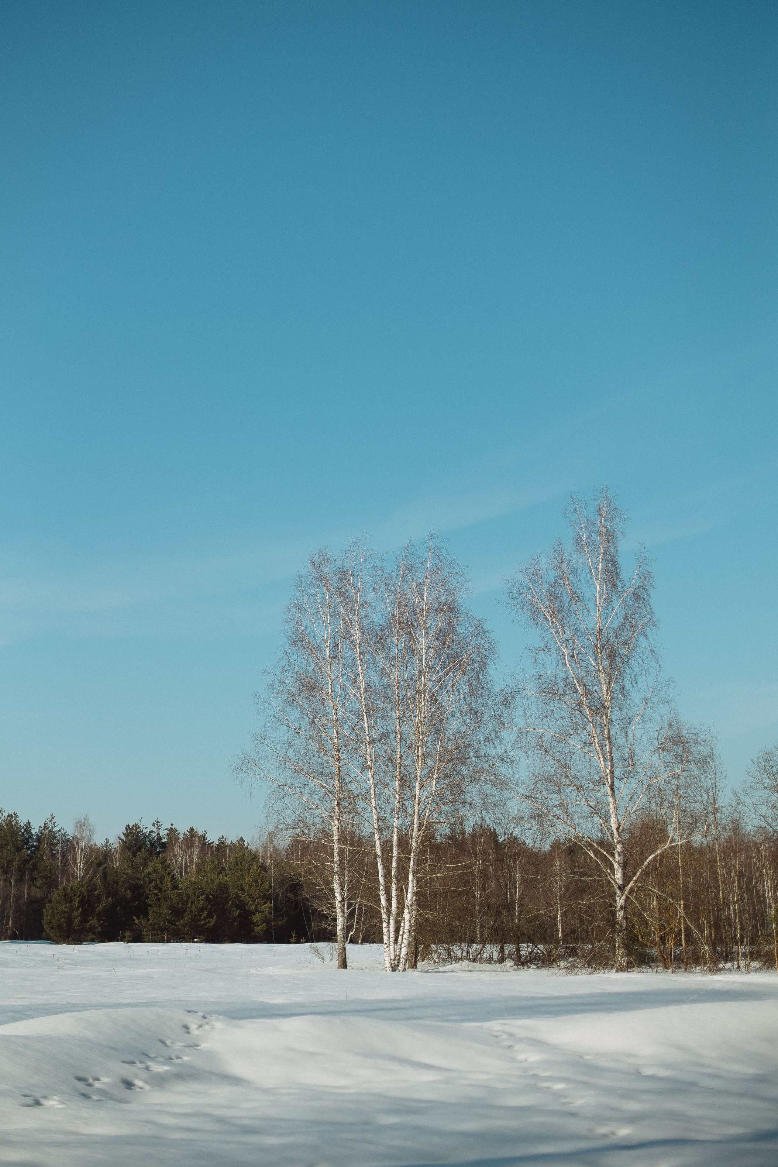Экопарк ПОЛЯНЫ. Главная
