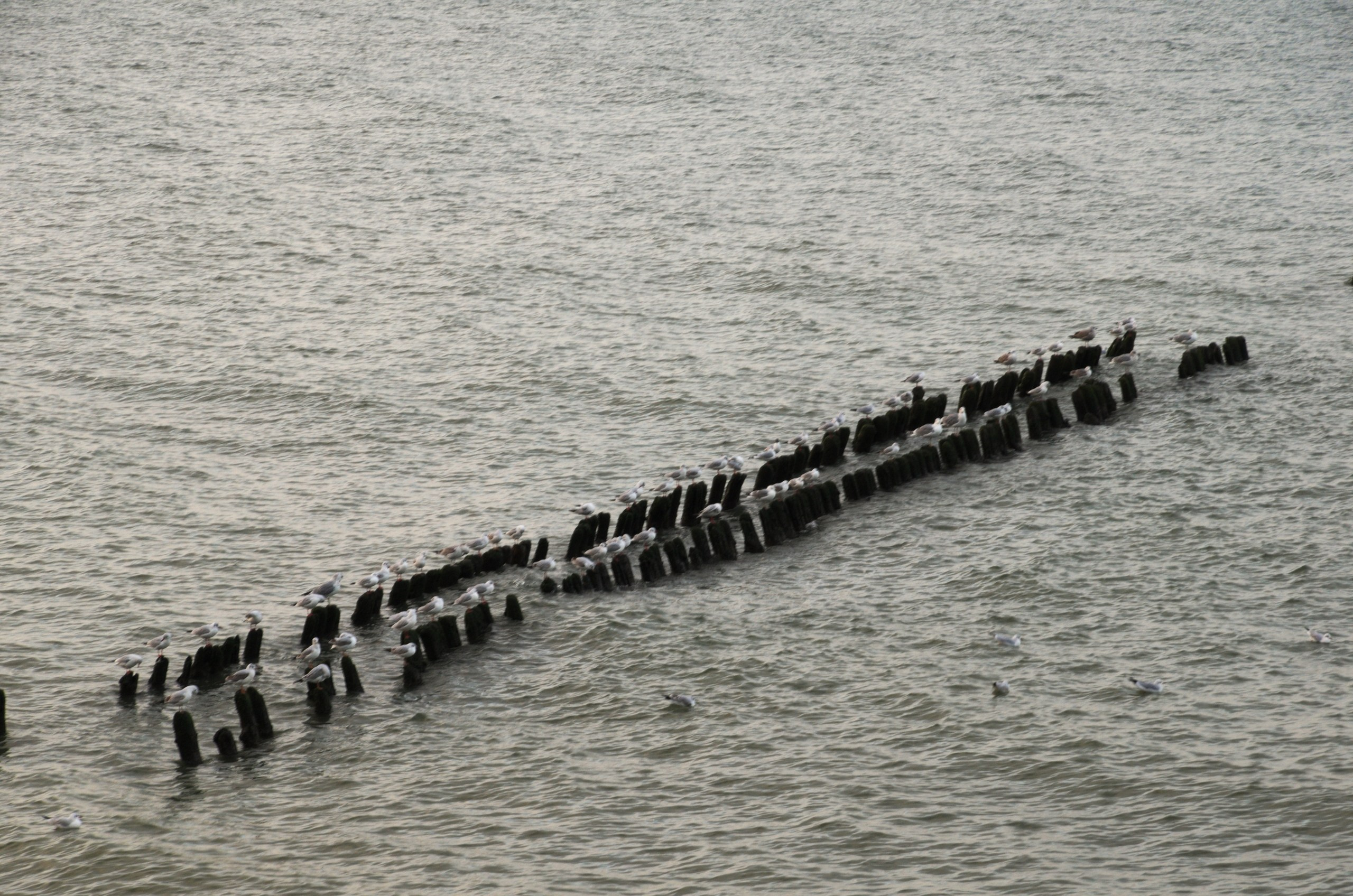 Калининград | 03-05.11.2018. Галерея Фантим