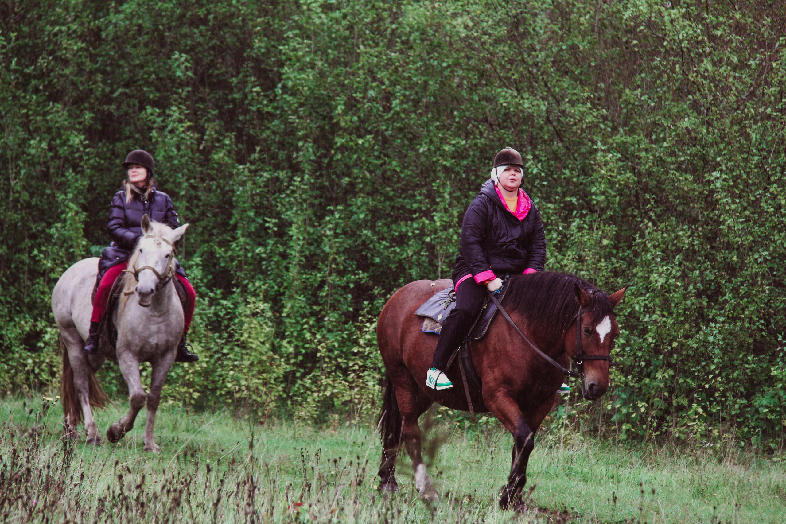 Лошадинг | 27.09.2025. Галерея Фантим